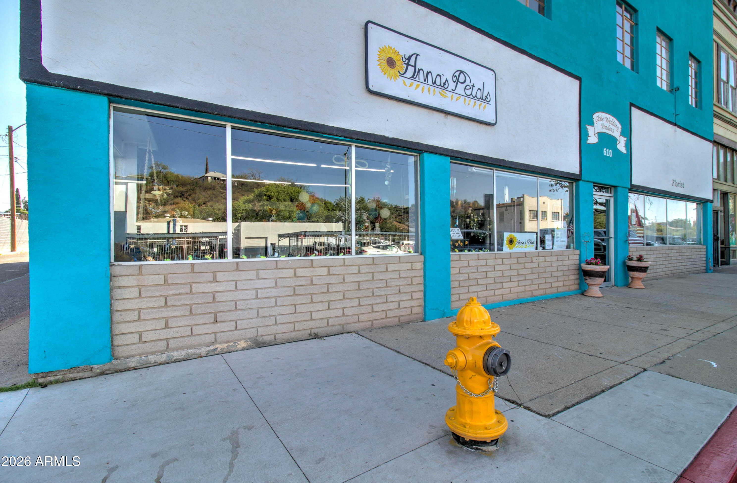 GLOBE TOWNSITE - Commercial Sale
