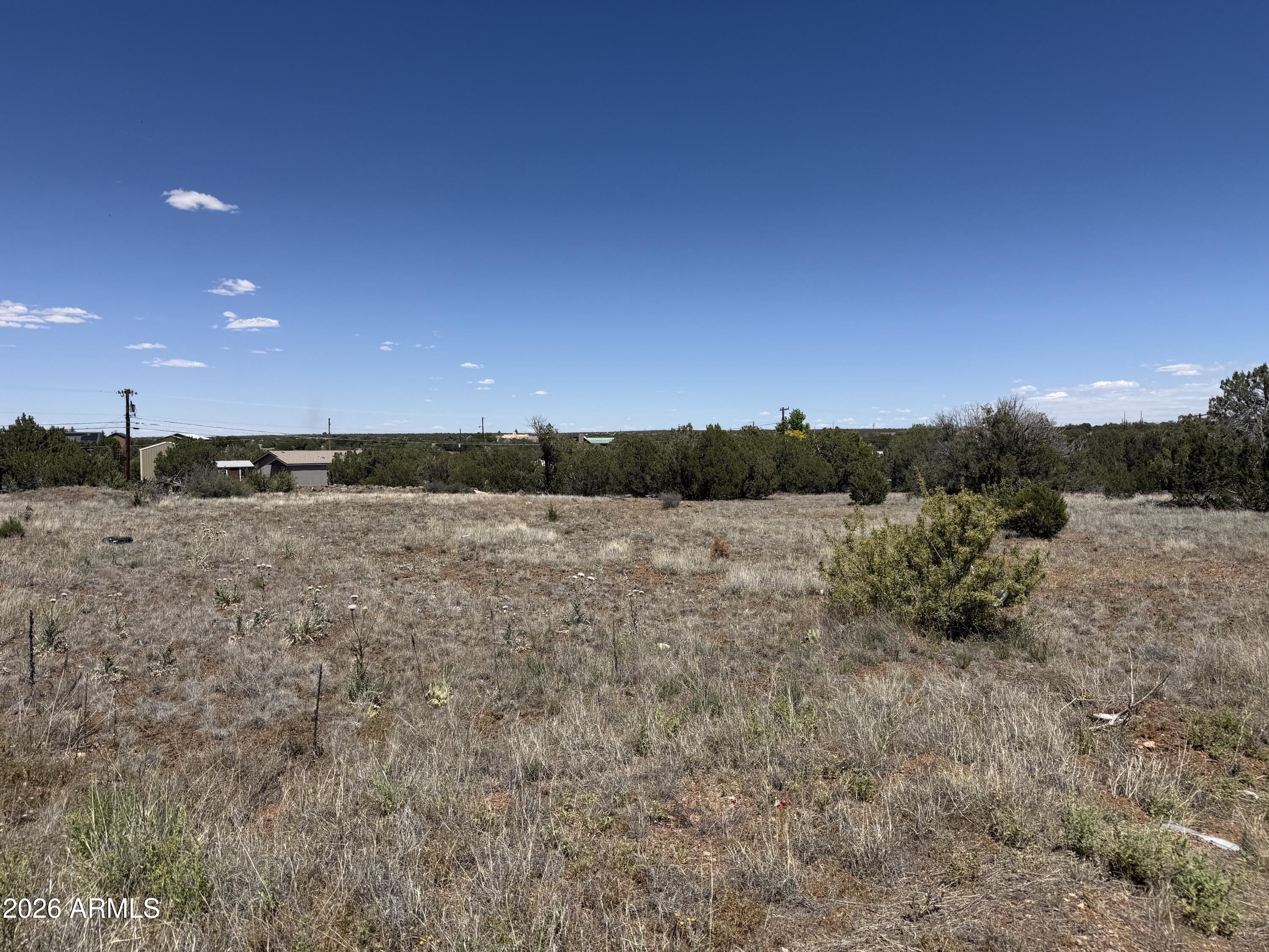 WHITE MOUNTAIN LAKE ESTATES - Land