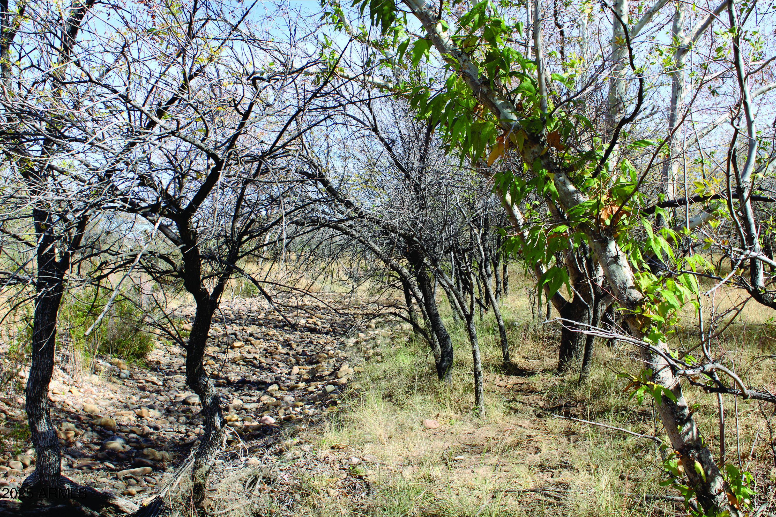 Turkey Creek Ranch - Land