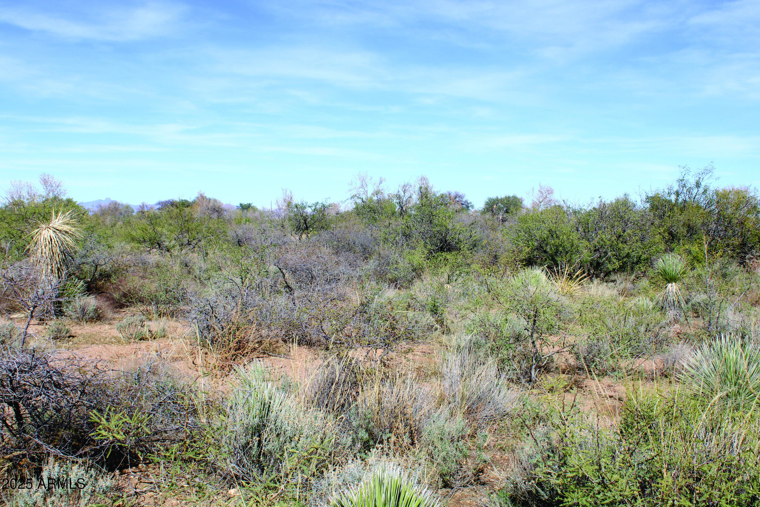Turkey Creek Ranch - Land