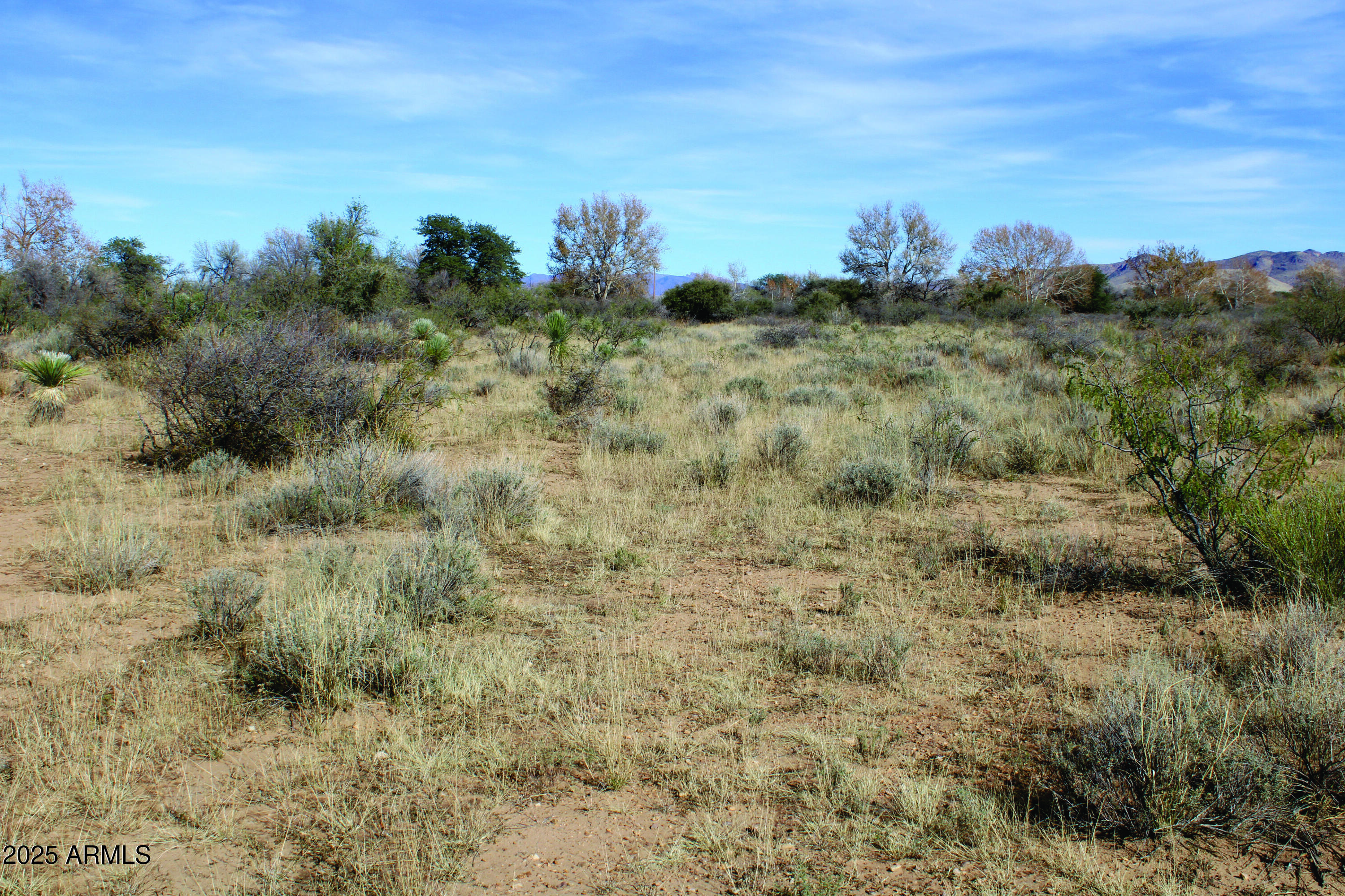 Turkey Creek Ranch - Land