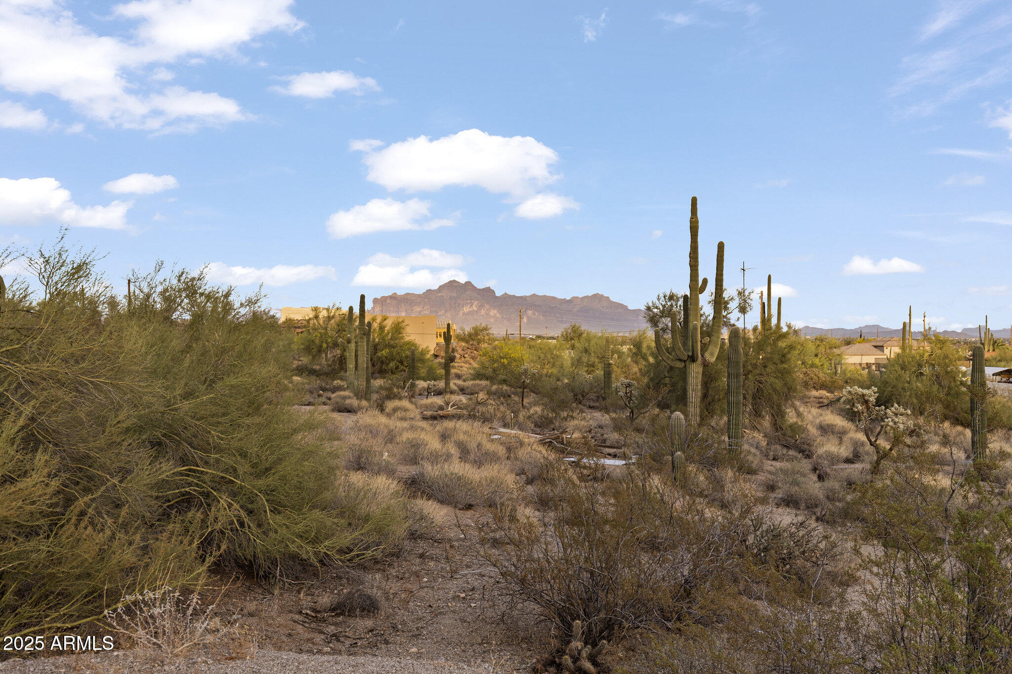 Cholla Estates - Residential