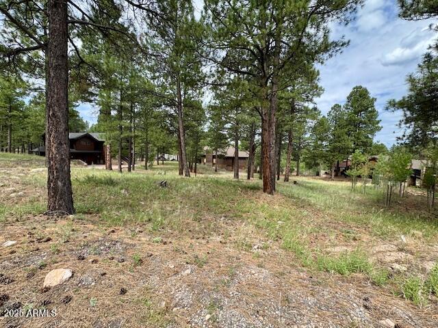 ESTATES AT PINE CANYON 1 RESUB - Land