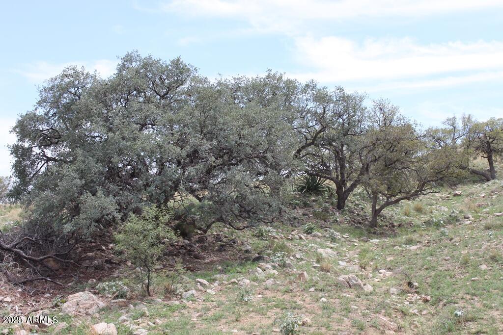 RANCHO SIERRA GRANDE - Land