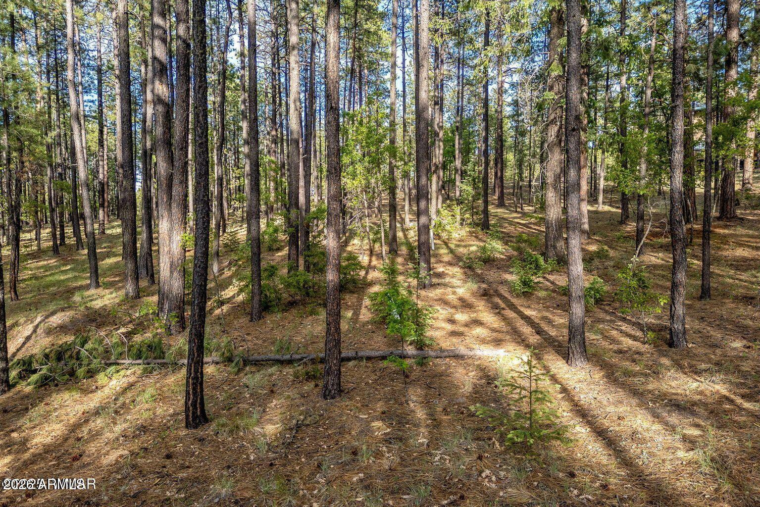 Exceptional 2.72-Acre Lot in Alpine Highlands Seize the chance to own 2.72 pristine, timbered acres in the coveted Alpine Highlands subdivision. This premium property already includes a newly installed septic system and a freshly cut driveway, offering a head start on building your ideal cabin or mountain getaway. Surrounded by towering pines and the serene beauty of the high country, it's the perfect setting for your future retreat. Enjoy year-round access via county-maintained roads in a neighborhood where horses are welcome. The property is part of the Alpine Highlands Water District with low annual dues of just $350.

Nestled in the heart of Arizona's White Mountains, Alpine is a haven for outdoor enthusiastsrenowned for its world-class hunting and fishing, scenic hiking and biking trails, serene lakes and rivers, and abundant wildlife. Plus, you're only 40 minutes from Sunrise Ski Resort for year-round recreation.

This is truly an exceptional lotprivate, peaceful, and perfectly located.
