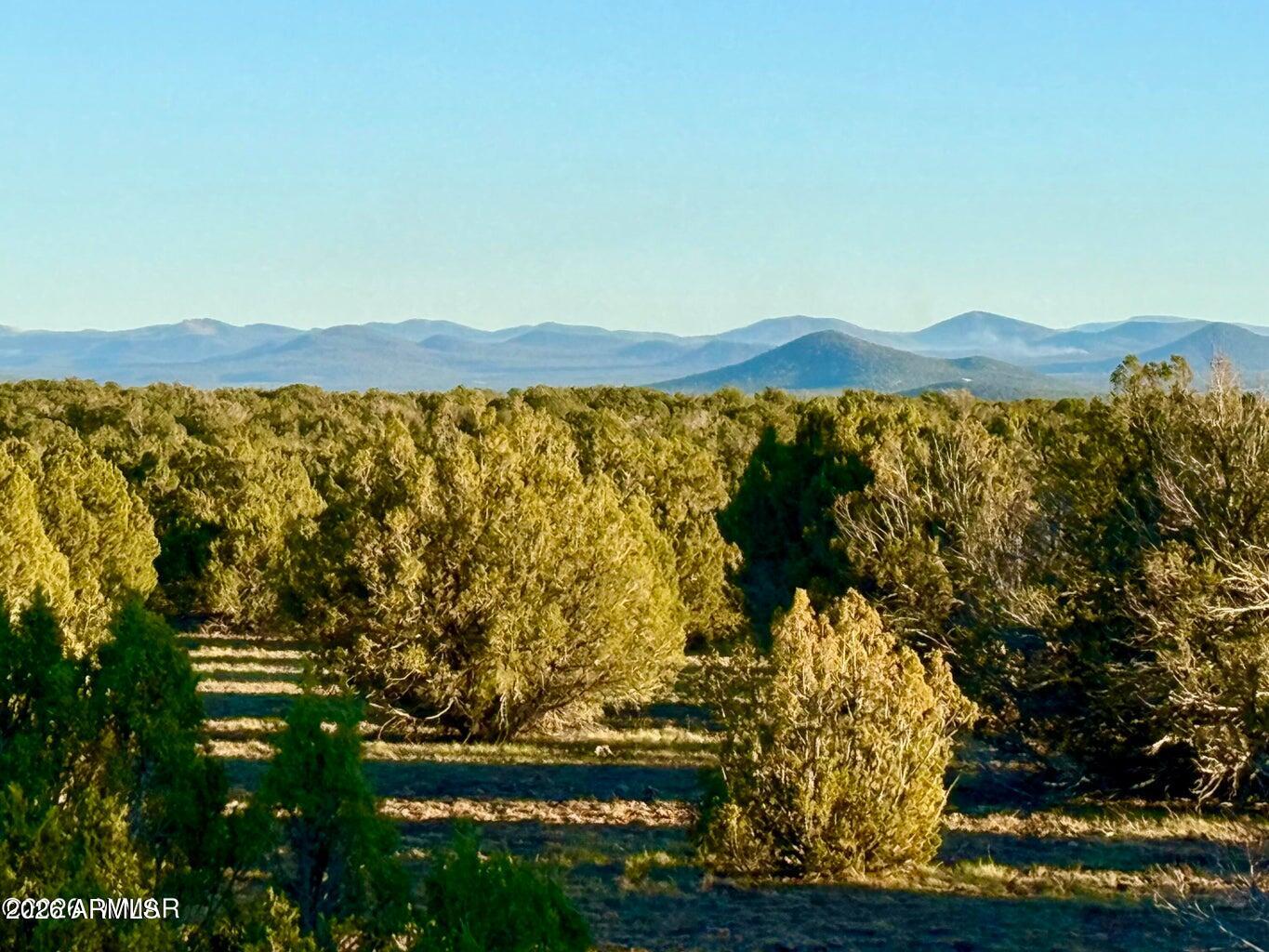 Just 20 minutes from Show Low, bordering state land while offering total seclusion and off-grid living. Enjoy beautiful surrounding views on this property, which has already a PASSED PERC test for a conventional septic system. No 4x4 or high clearance needed. Owner may carry. Additional parcels available Minor land division split in process.