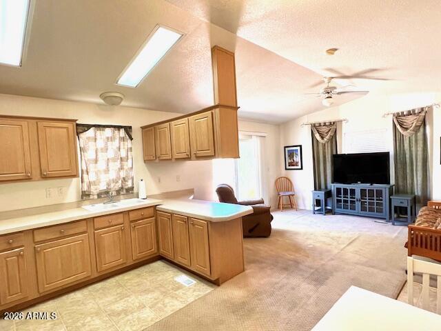 Simplicity at Oasis - Residential