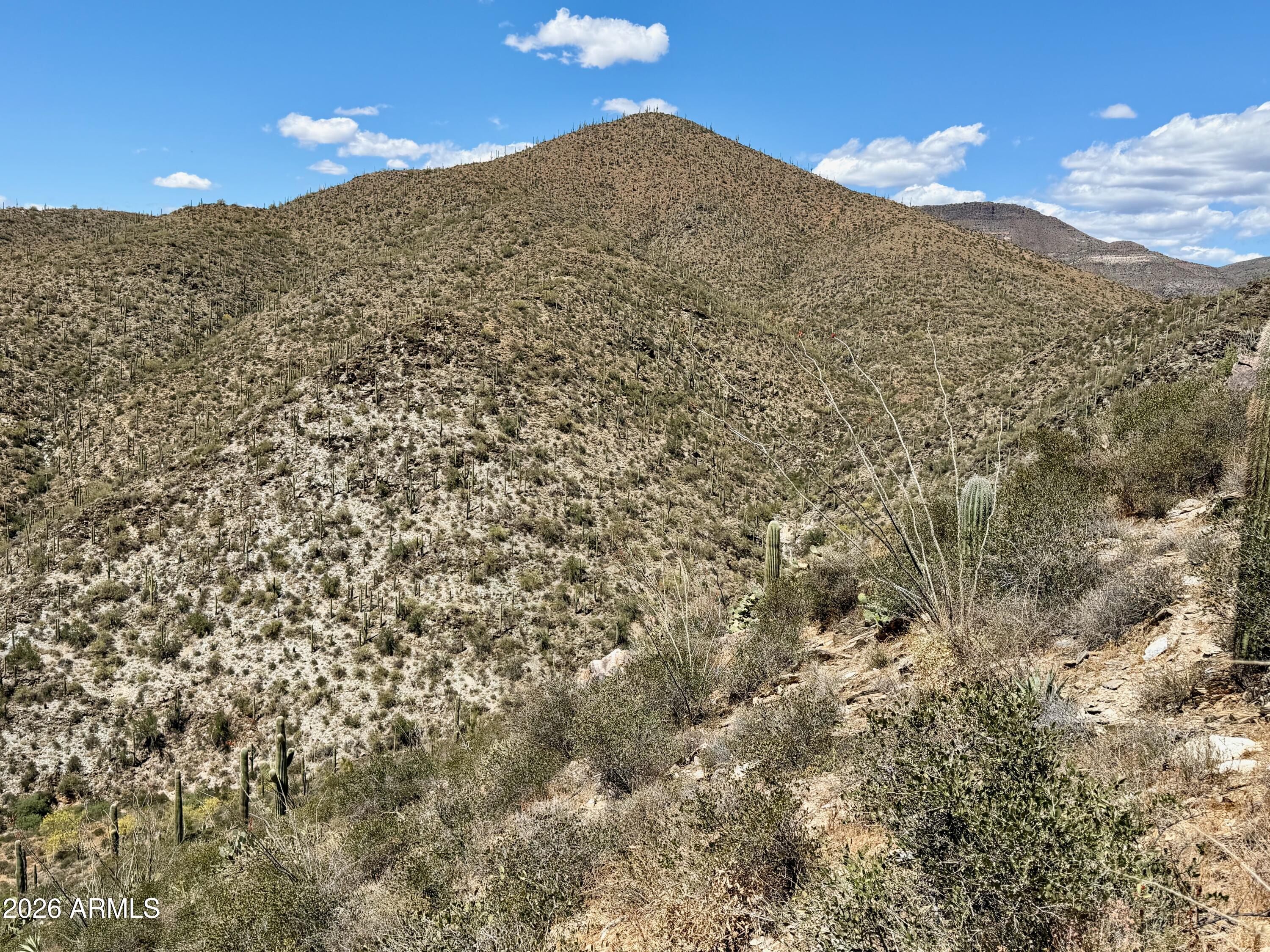Parcels 202-17-018B, 202-17-001Z, 202-17-001Y, 
202-17-025, 202-17-028 - Land