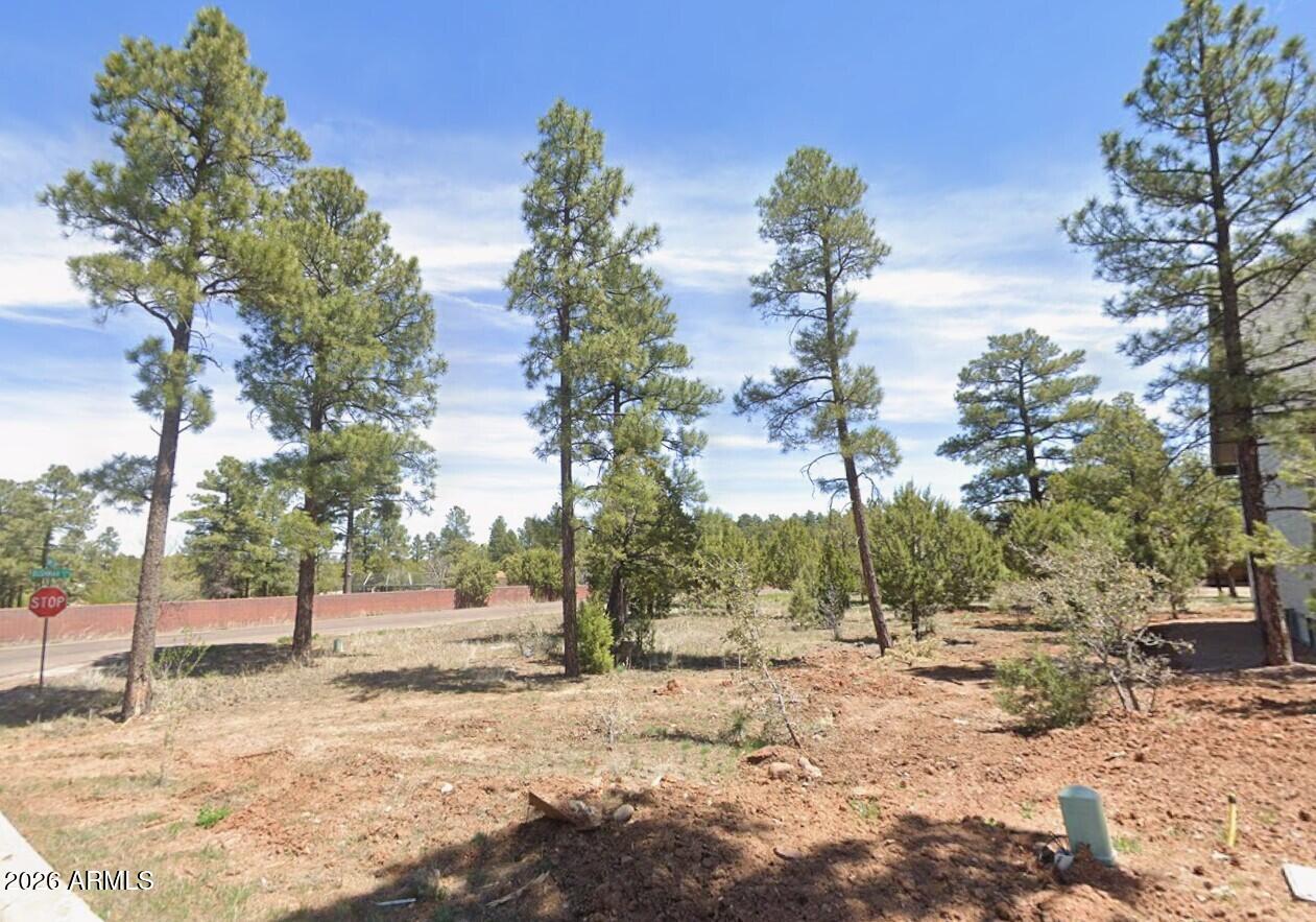 Imagine building your custom mountain retreat on this beautiful level corner homesite in the highly sought-after Pine Bluff community in the heart of Show Low. Surrounded by towering pine trees and nestled in one of the area's most desirable elevated neighborhoods, this property offers the perfect blend of privacy, natural beauty, and convenience. Enjoy cool four-season weather and a peaceful mountain setting just minutes from shopping, restaurants, golf, hiking, fishing, medical facilities, and everything Show Low has to offer. City utilities are available at the lot line, making this an exceptional opportunity to build the home you've always envisioned. Whether you're planning a full-time residence, vacation getaway, or investment property, this outstanding homesite offers everything that makes mountain living so desirable. The level terrain provides an ideal building site, while the corner location offers added flexibility for home design, garage placement, and exceptional curb appeal.

Surrounded by beautiful custom homes and mature pines, you'll enjoy a peaceful mountain setting while remaining just minutes from the conveniences of town. With paved streets, city utilities available at the lot line, and endless opportunities for hiking, fishing, golf, and year-round recreation nearby, this is the perfect place to create the mountain home you've always imagined.