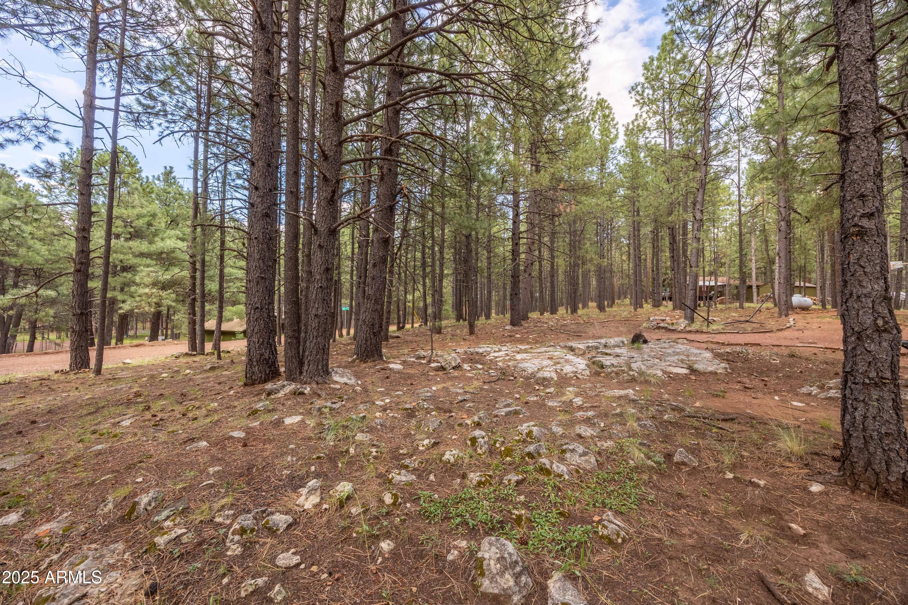 Forest Lakes Estates - Residential