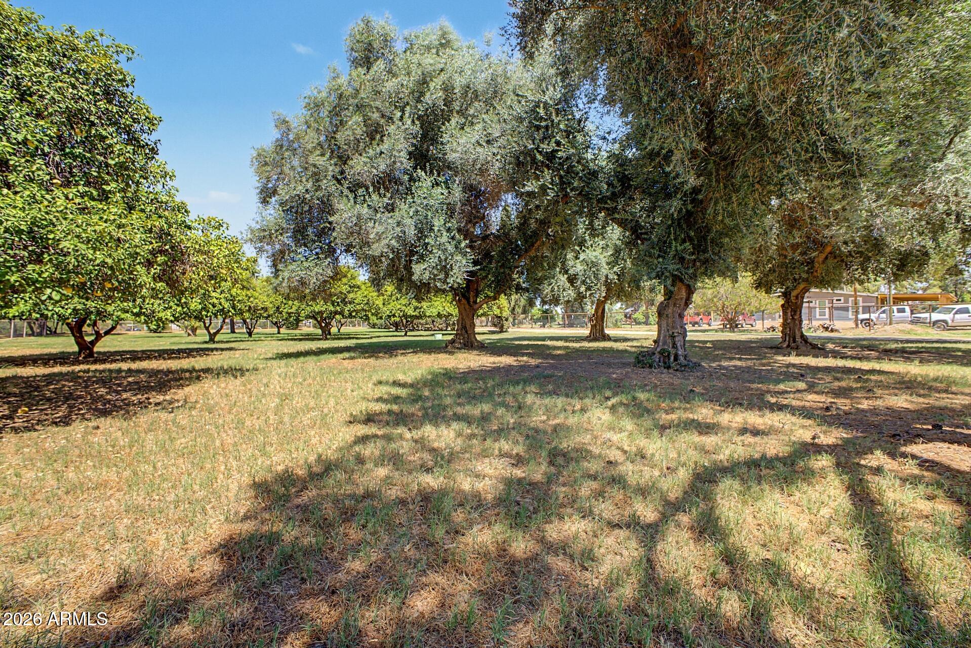 QUEEN CREEK RANCHOS - Residential