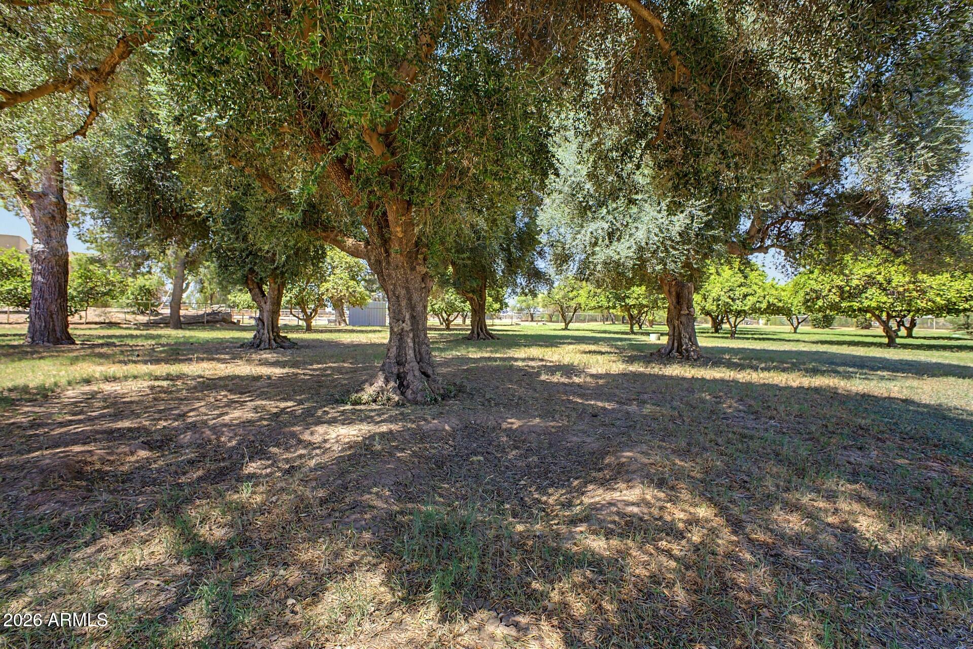 QUEEN CREEK RANCHOS - Residential