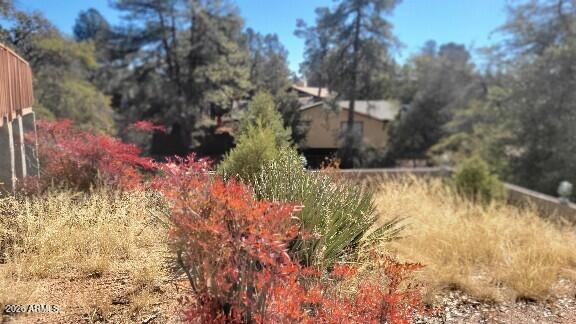 PAYSON NORTH 5 - Residential