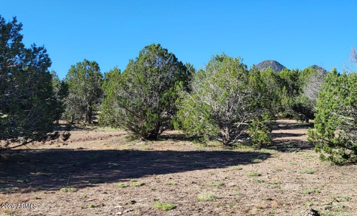 Westwood Ranches - Land