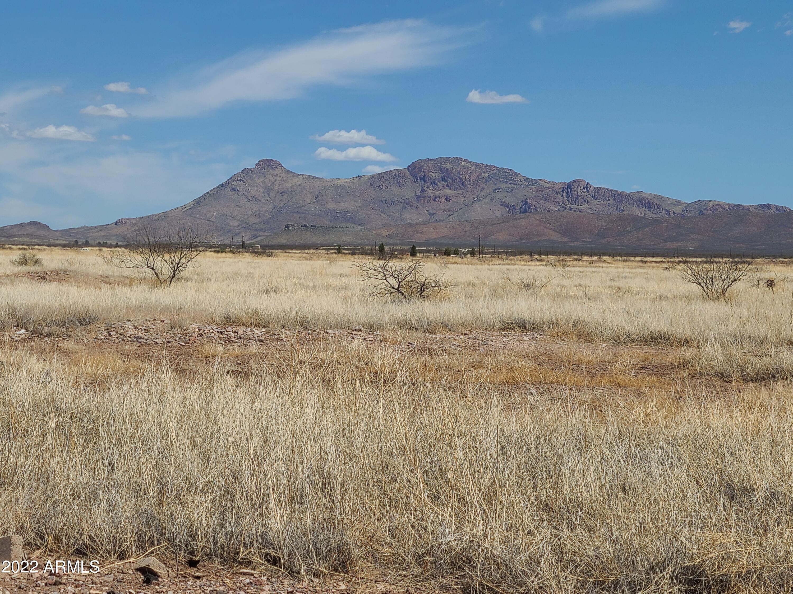 38.3 Acres of raw land perfect for new built, manufactured or mobile home, ranch or bring your RV. Drive down to see the possibilities, motivated seller.