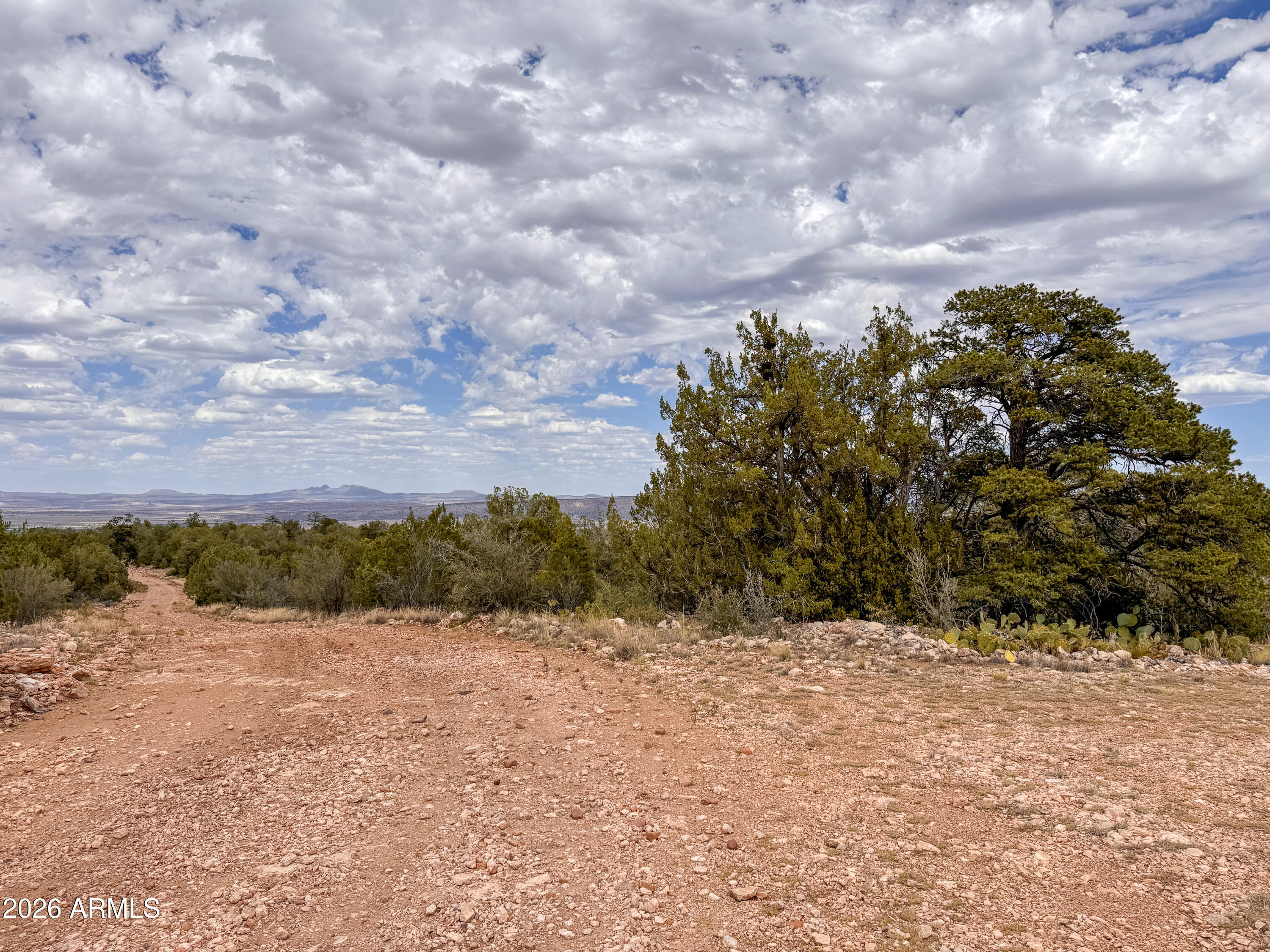 SIERRA VERDE RANCH UNIT 12 - Land