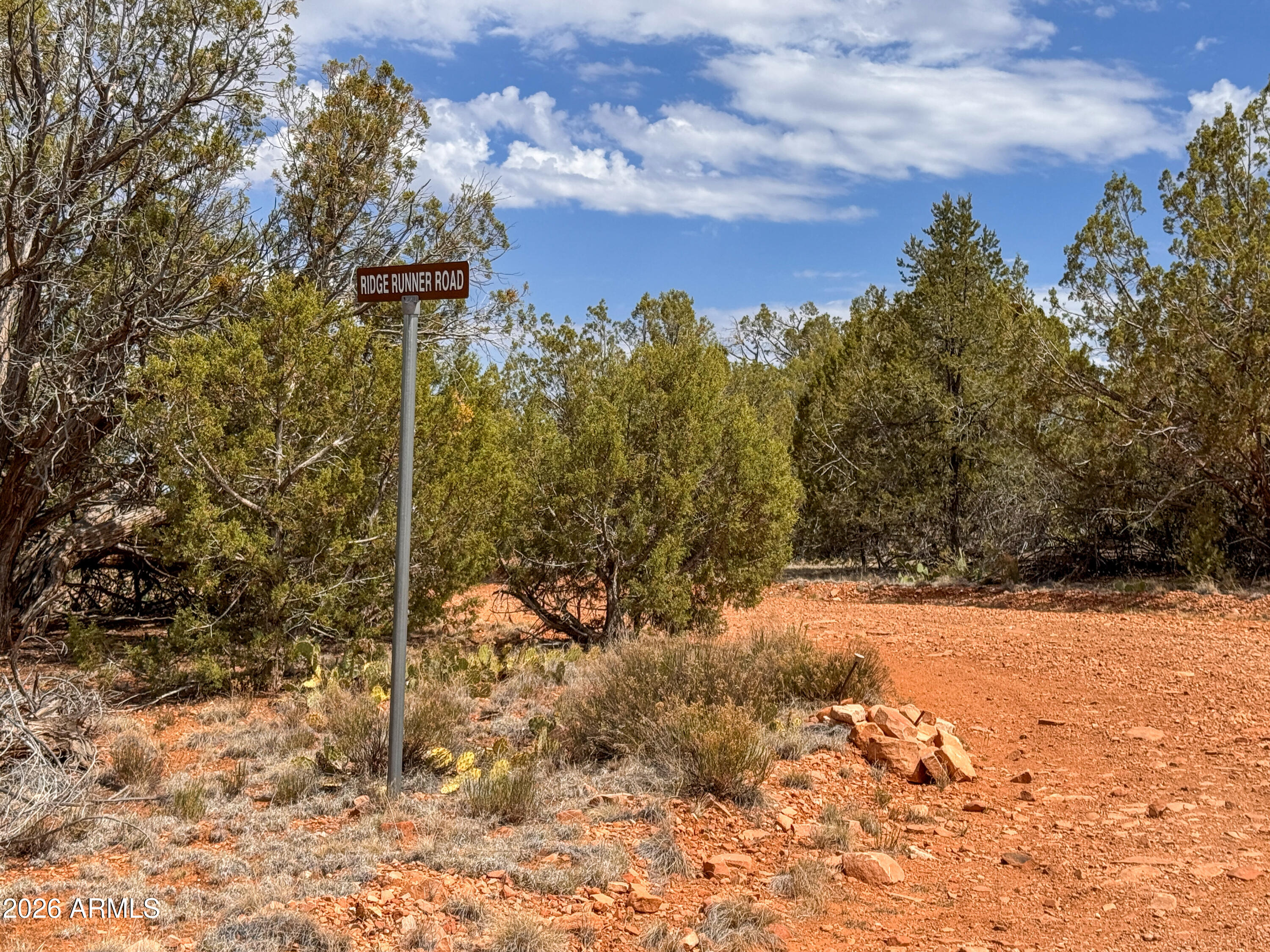 SIERRA VERDE RANCH UNIT 12 - Land