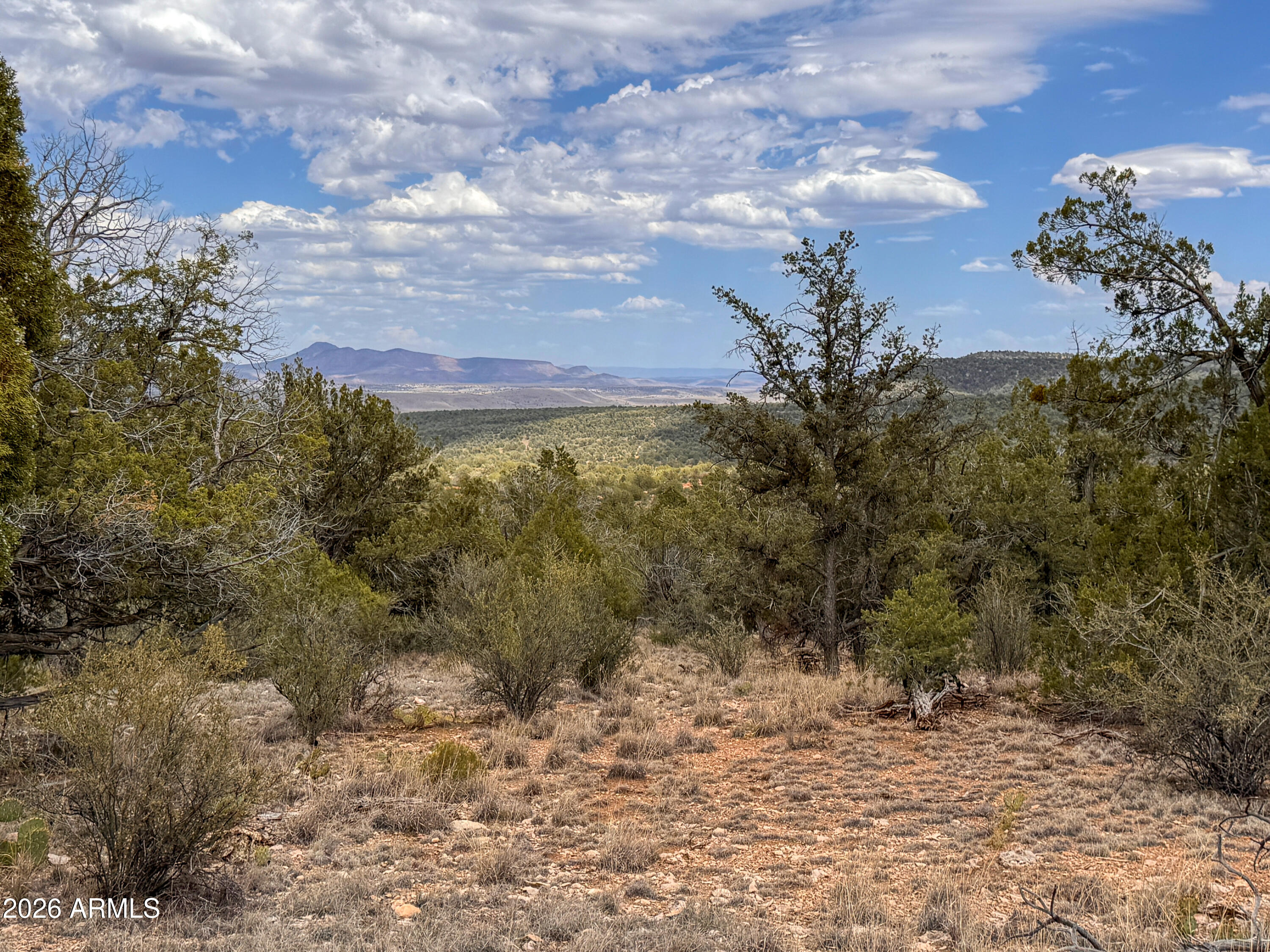 SIERRA VERDE RANCH UNIT 12 - Land