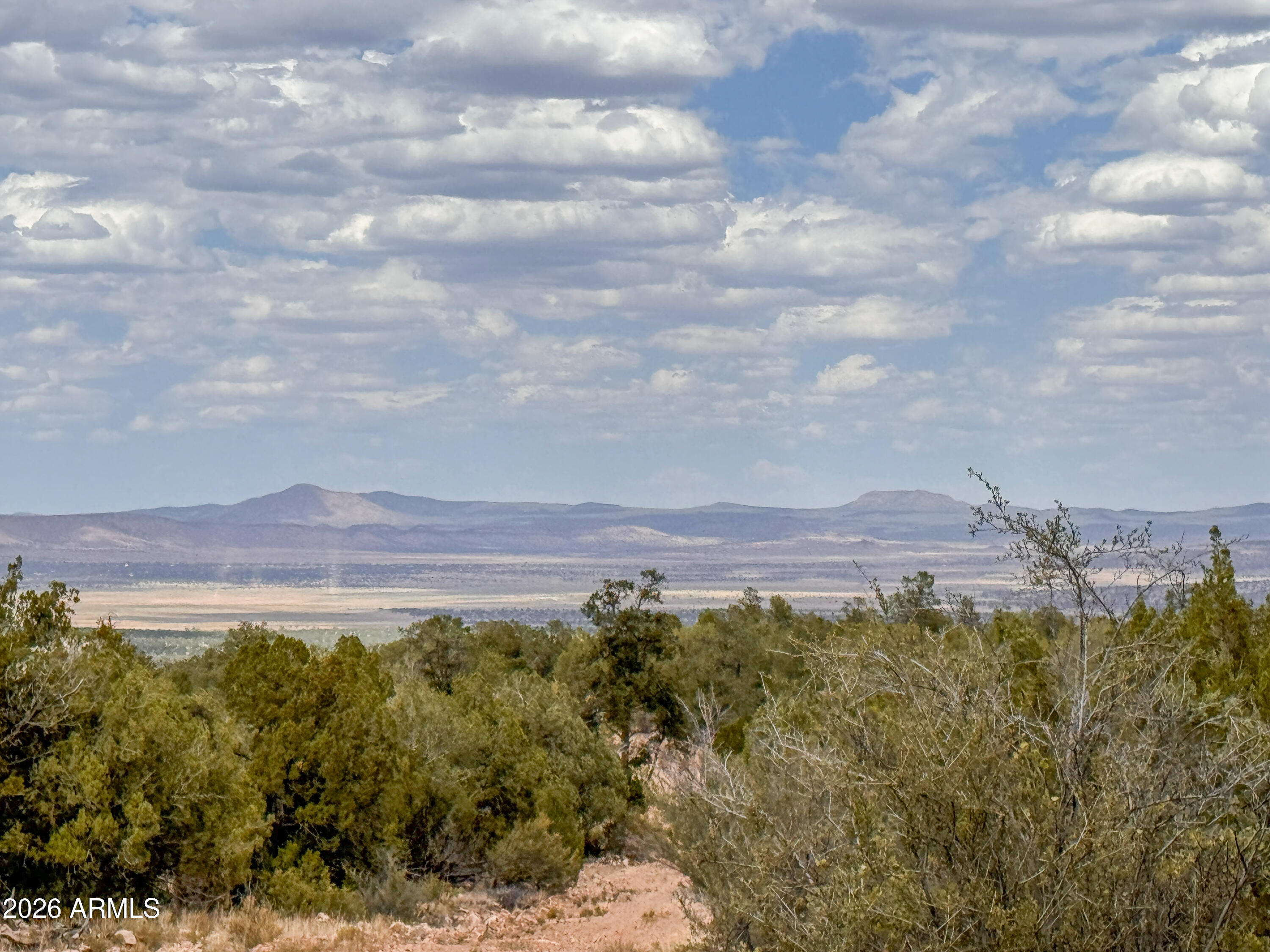 SIERRA VERDE RANCH UNIT 12 - Land