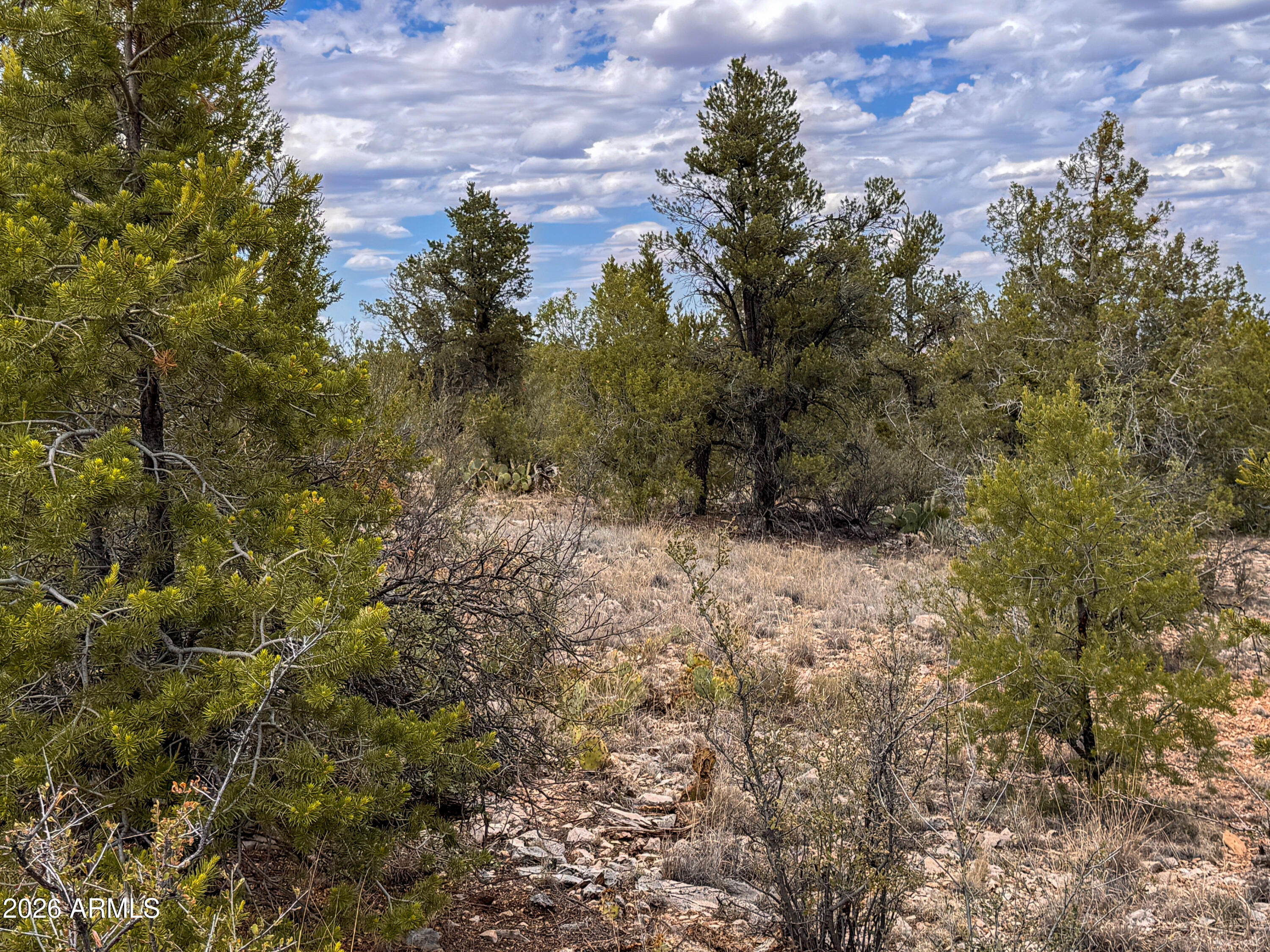 SIERRA VERDE RANCH UNIT 12 - Land