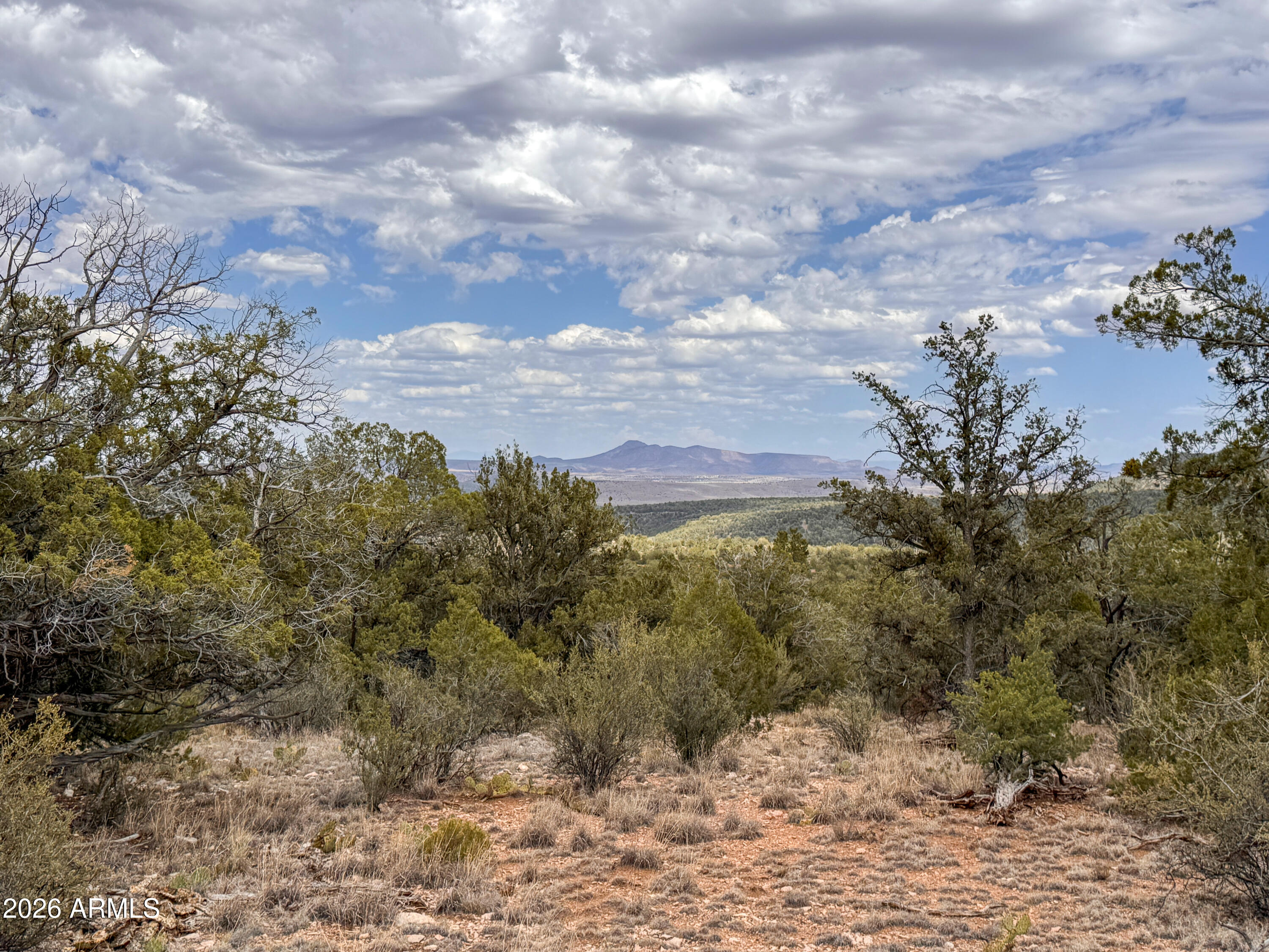 SIERRA VERDE RANCH UNIT 12 - Land