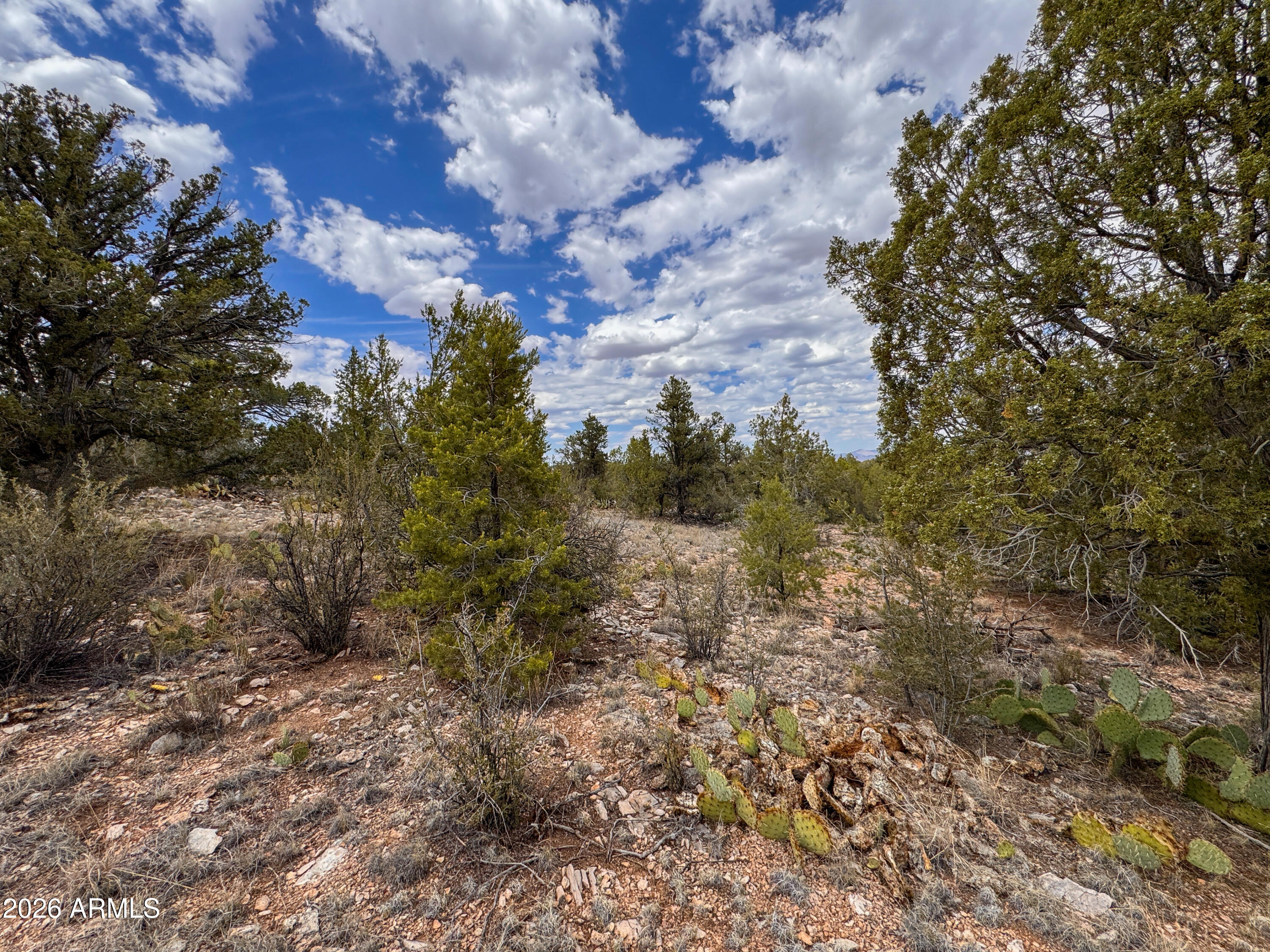 SIERRA VERDE RANCH UNIT 12 - Land
