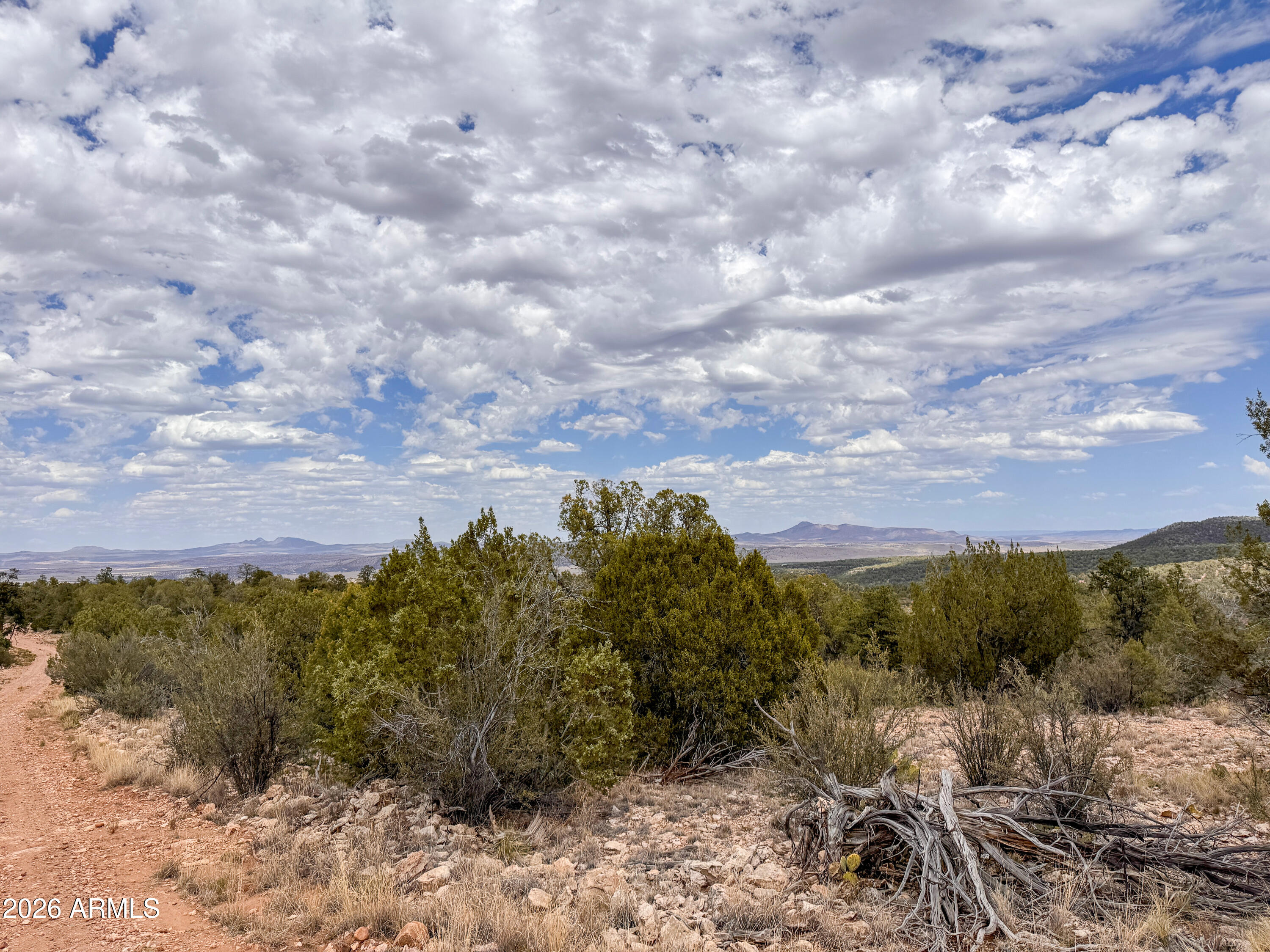 SIERRA VERDE RANCH UNIT 12 - Land