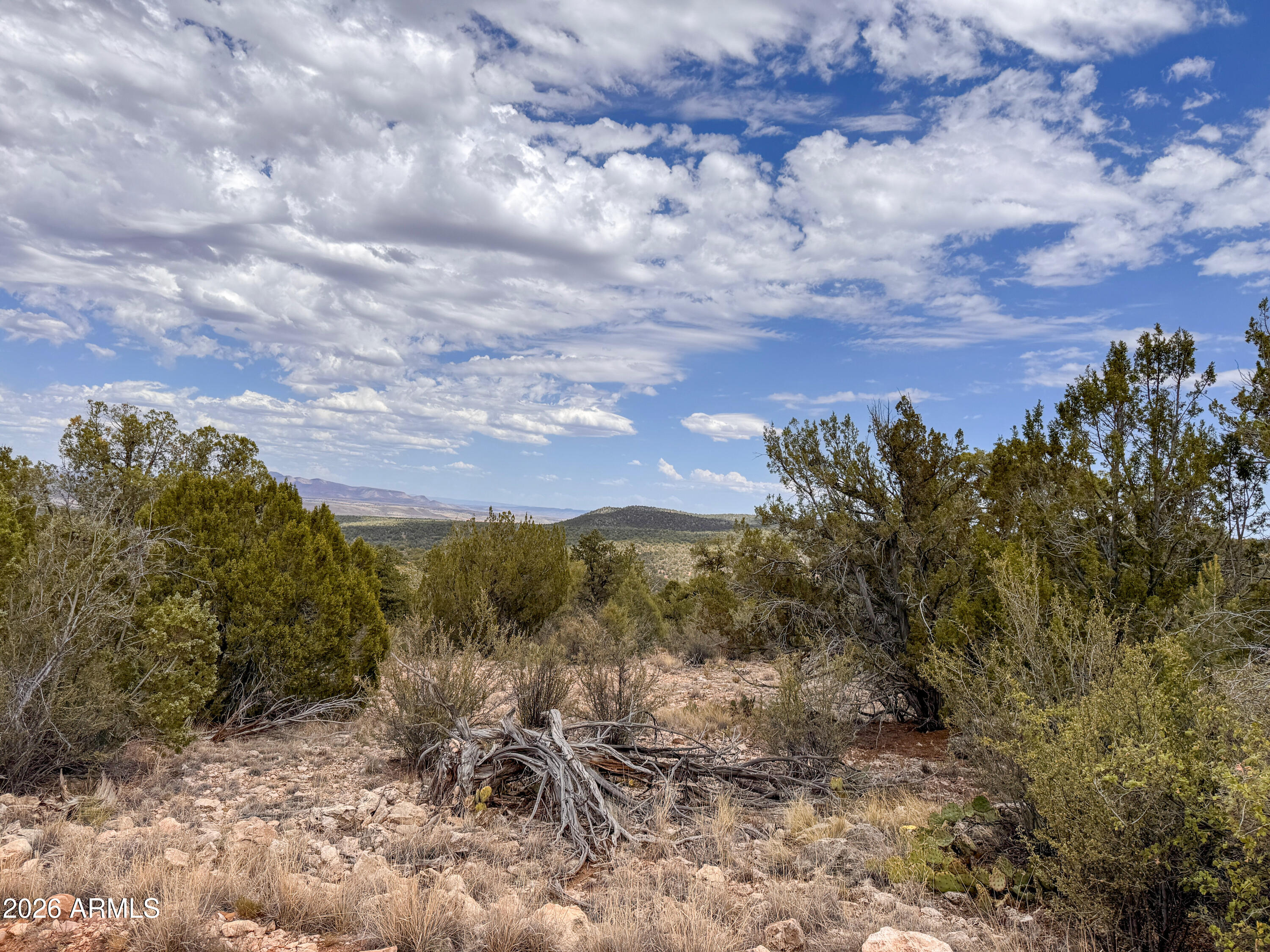 SIERRA VERDE RANCH UNIT 12 - Land