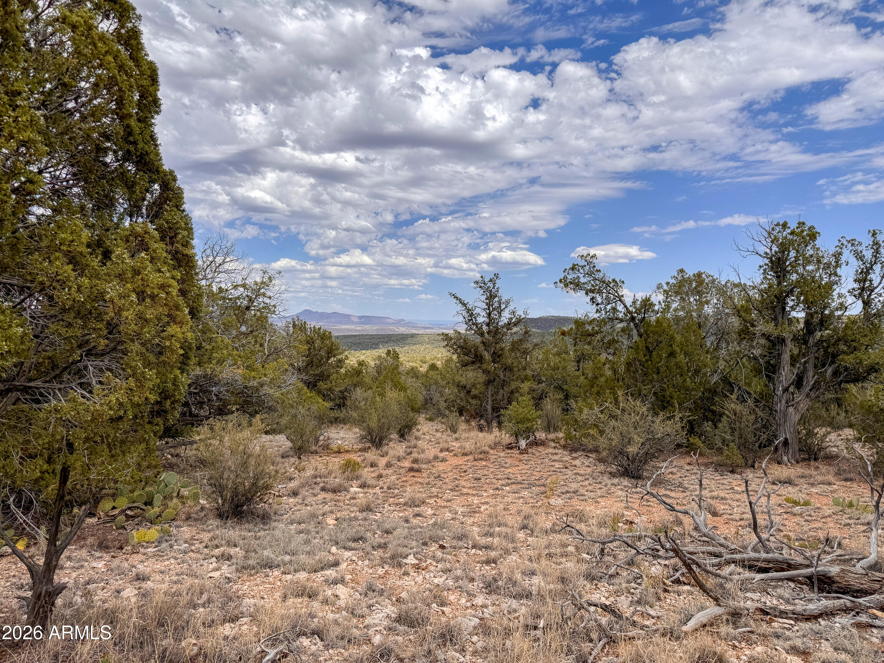 SIERRA VERDE RANCH UNIT 12 - Land