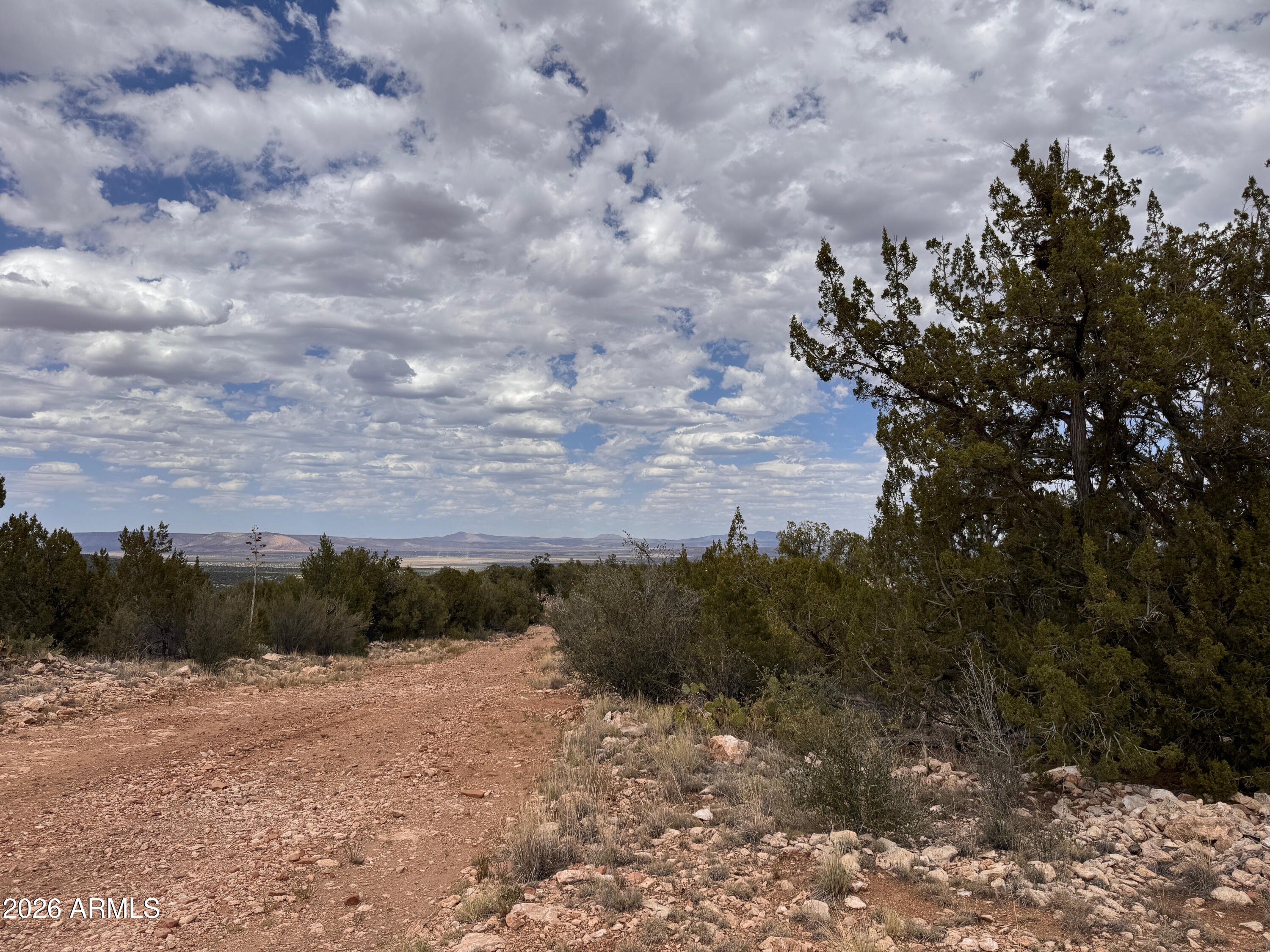 Stunning Property! Needing land for a cattle operation, family  compound, or a sanctuary away from the city? Then this the land that you're needing. At almost 37 acres and zoning without restrictions, the potential and possibilities for this property are limitless. Site built and manufactured homes are welcome. Located  just south of the town Seligman in the northern part of the Chino Valley, you're at an elevation of 5700ft, which means you'll get to experience all four seasons, with summers being milder than the lower deserts of Arizona. This property is located amongst soft rolling hills and juniper forests, with all 36.68 being usable. Lot is unimproved but electric is near property line. You may drill your own water or haul from close by. Well water is fed by the Big Chino Aquifer There are no county restrictions on well placement and property can be subdivided into up to 5 new parcels before subdivision requirements are triggered. Each new lot is required to be at least 2-acres.