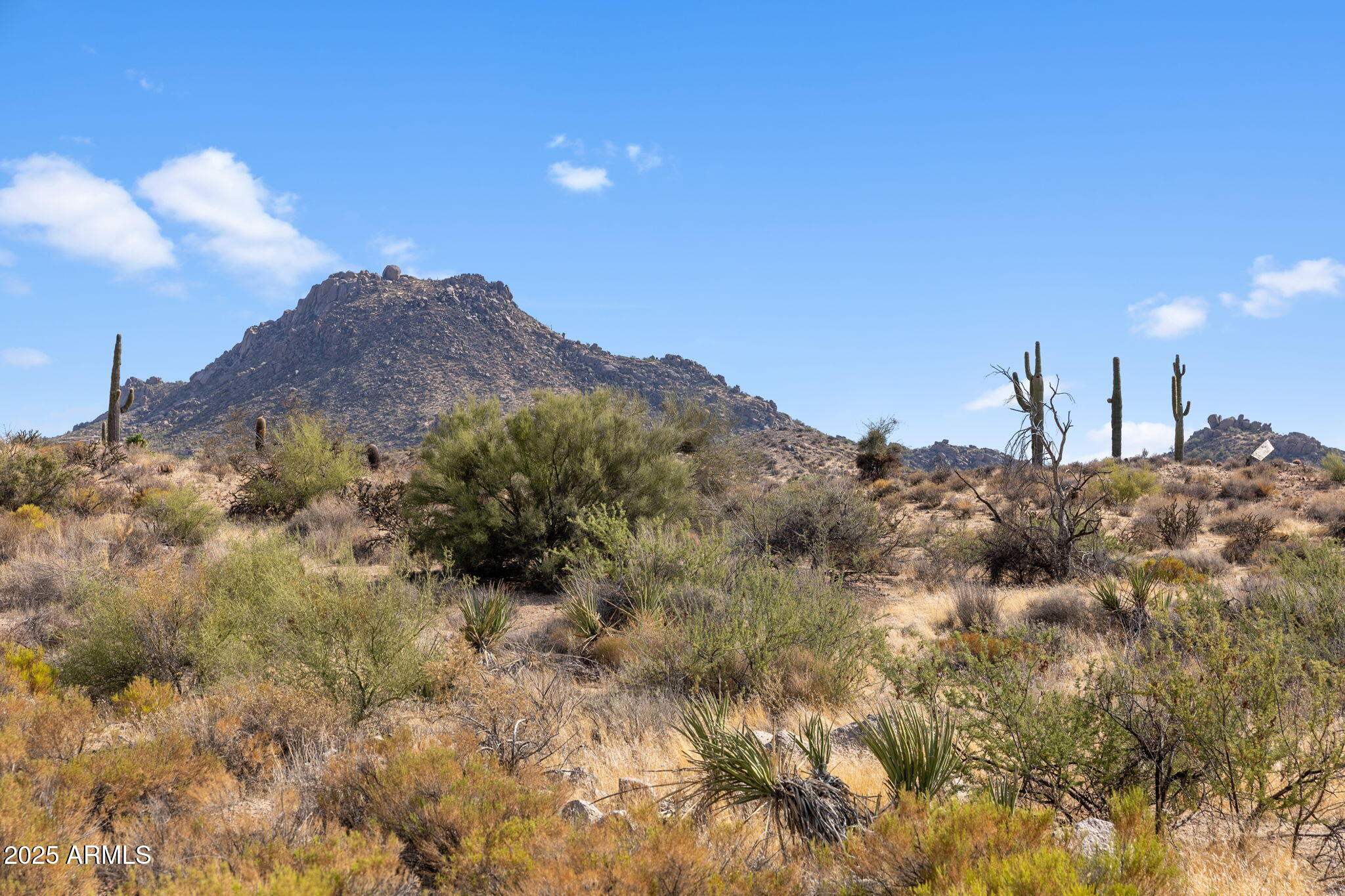 GOLDIE BROWN PINNACLE PEAK RANCH UNIT 2 - Land