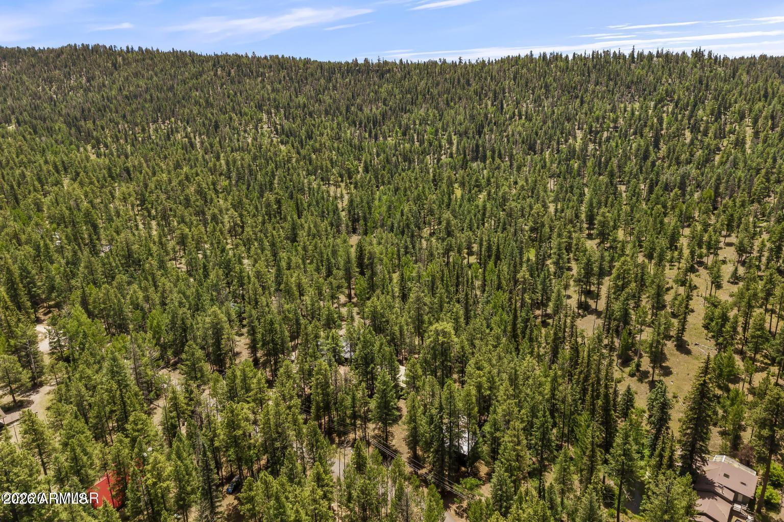 TAL WI WI IN THE PINES - Residential