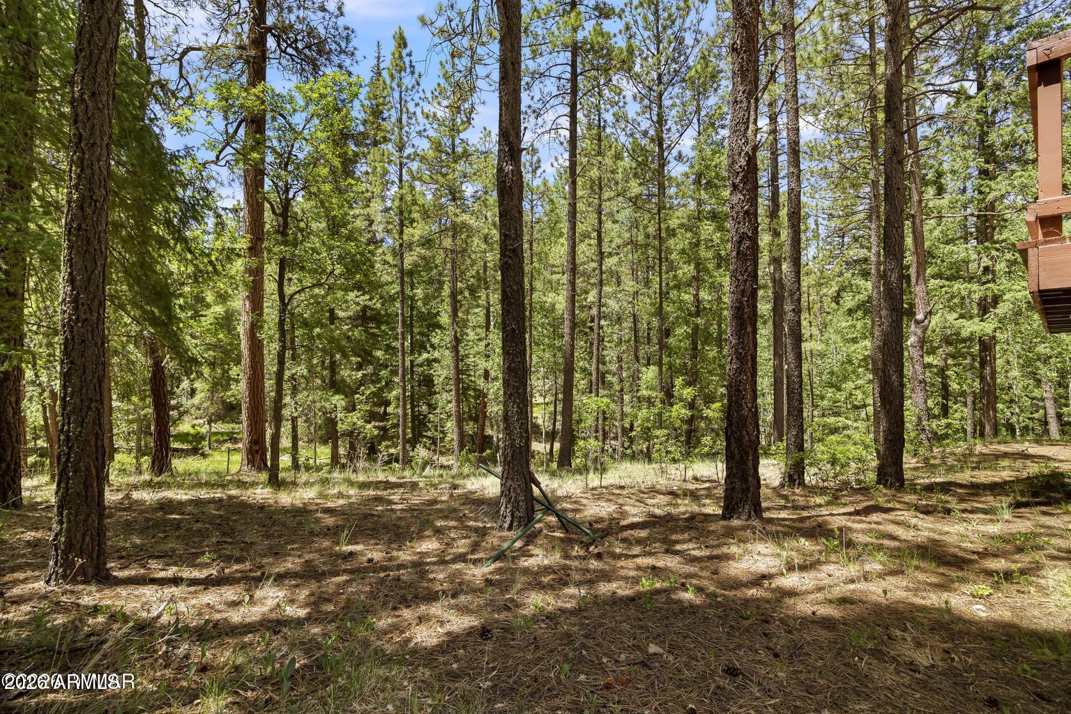 TAL WI WI IN THE PINES - Residential