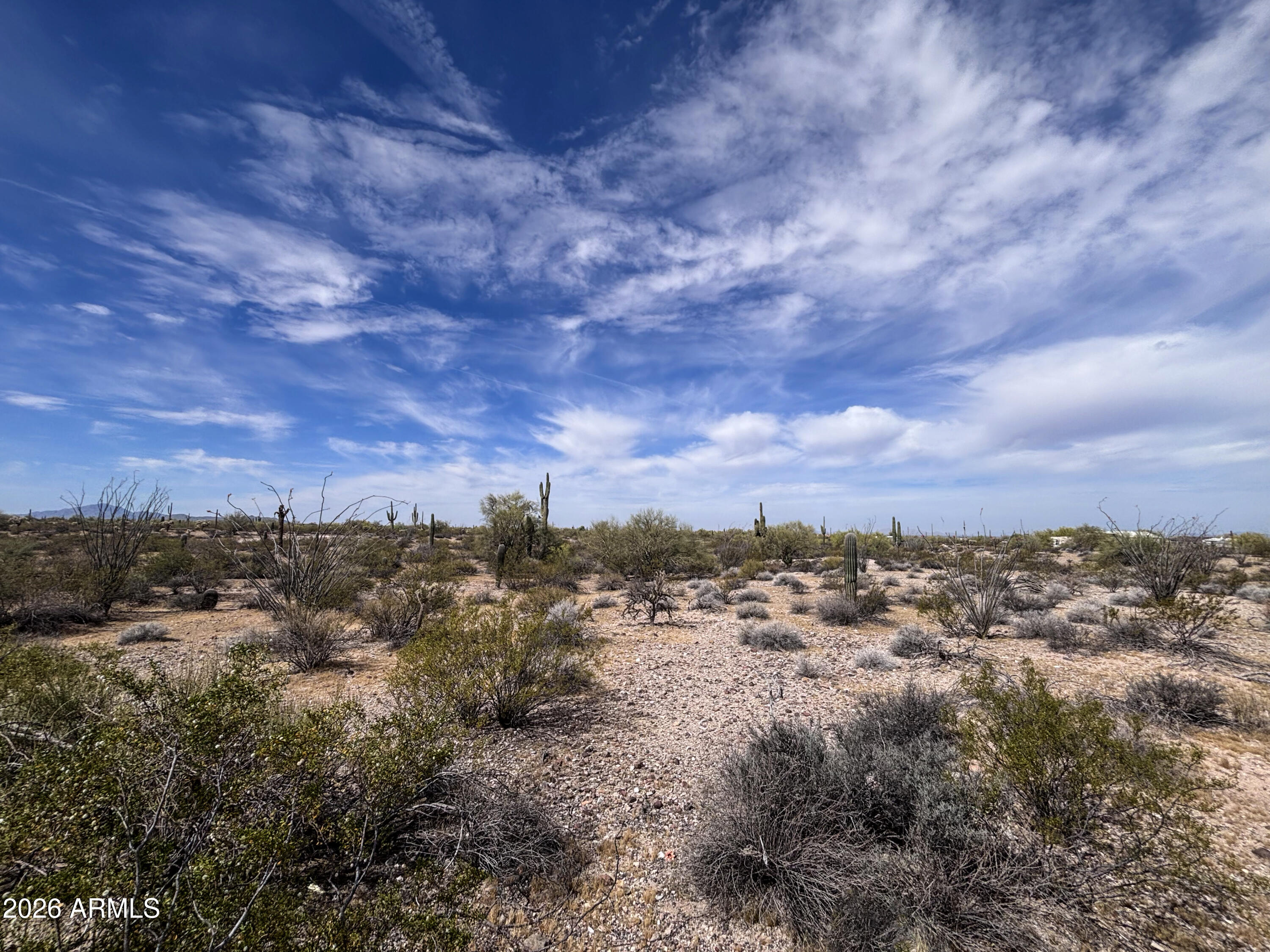 JAVELINA DESERT FOREST ESTATES - Land