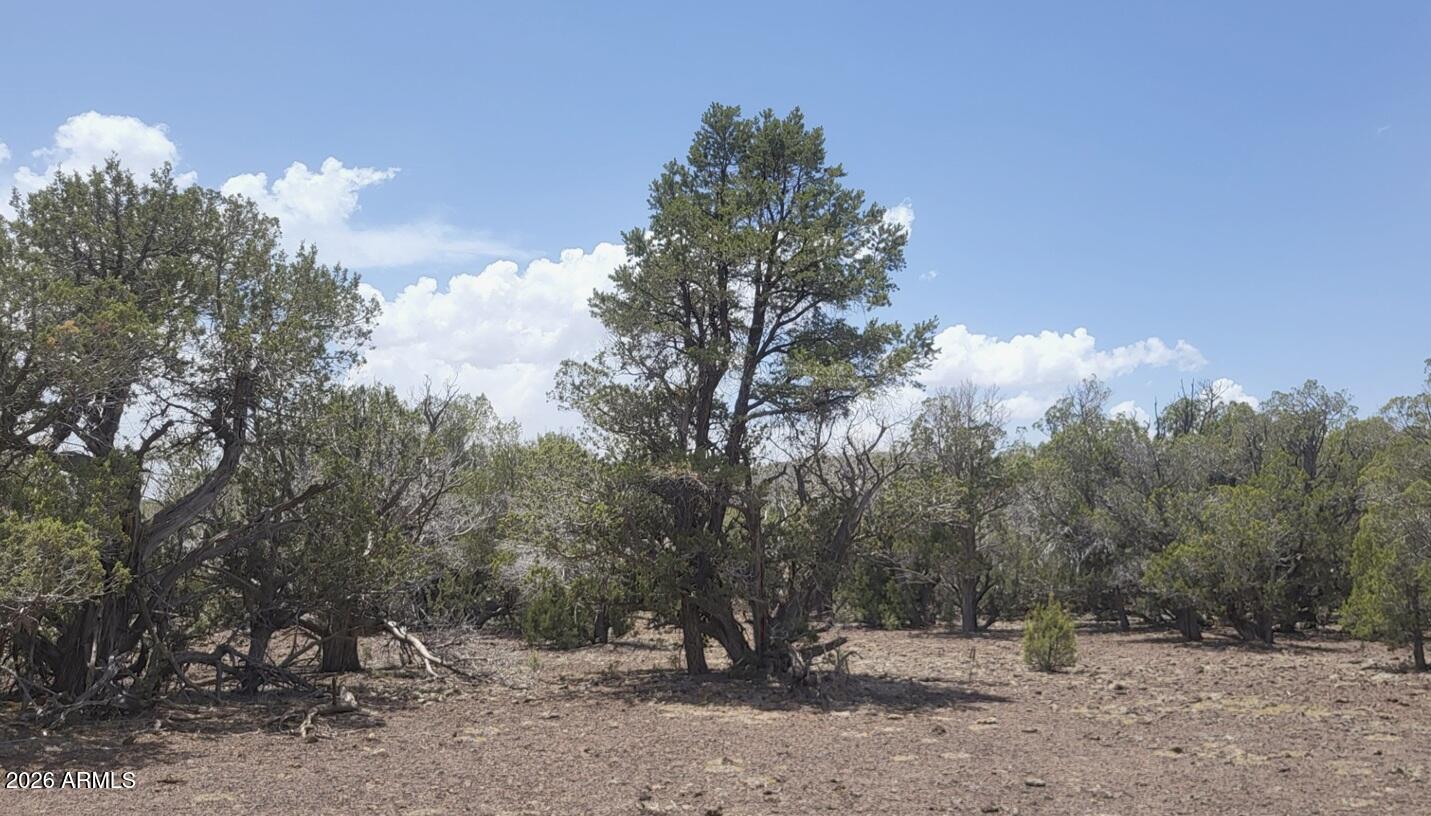 Westwood Ranches - Land