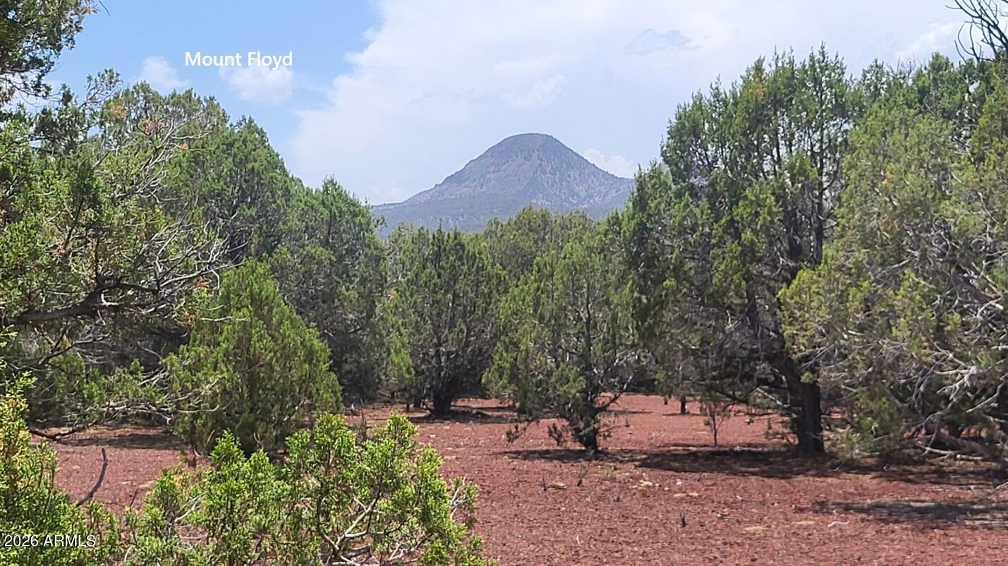 This 69.9 acres has multiple soil changes with at least a 3rd being in Cinder. Partridge Creek watershed runs through the west side. 11 acres sits on the west side of Ranch Rd. Due to the zoning this 11 acres could be sold. It has great views. Then keep the 51 acres for yourself. No matter, set your guest up on the west side. Great property, lots of trees, multiple building sites and or camp sites. Views are awesome. Landscape is forested wilderness. Good soil for you homesteaders, Elk and Deer Country can't forget that. 85 degree summers and just the right amount of snow. Come cool off, build that cabin, camp, ATV, RV, invest. 140 miles of backcountry roads. NO HOAs - Sweet !