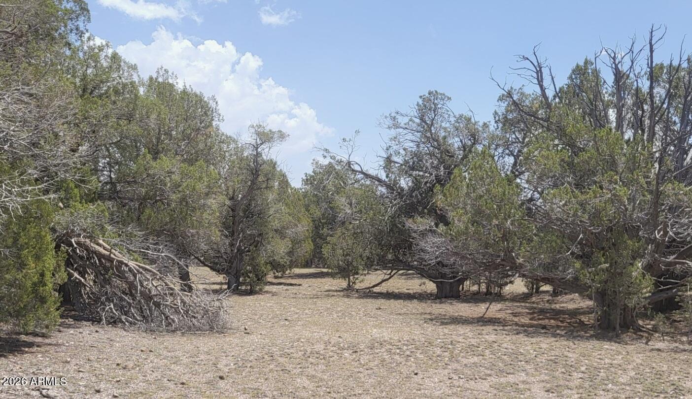 Westwood Ranches - Land