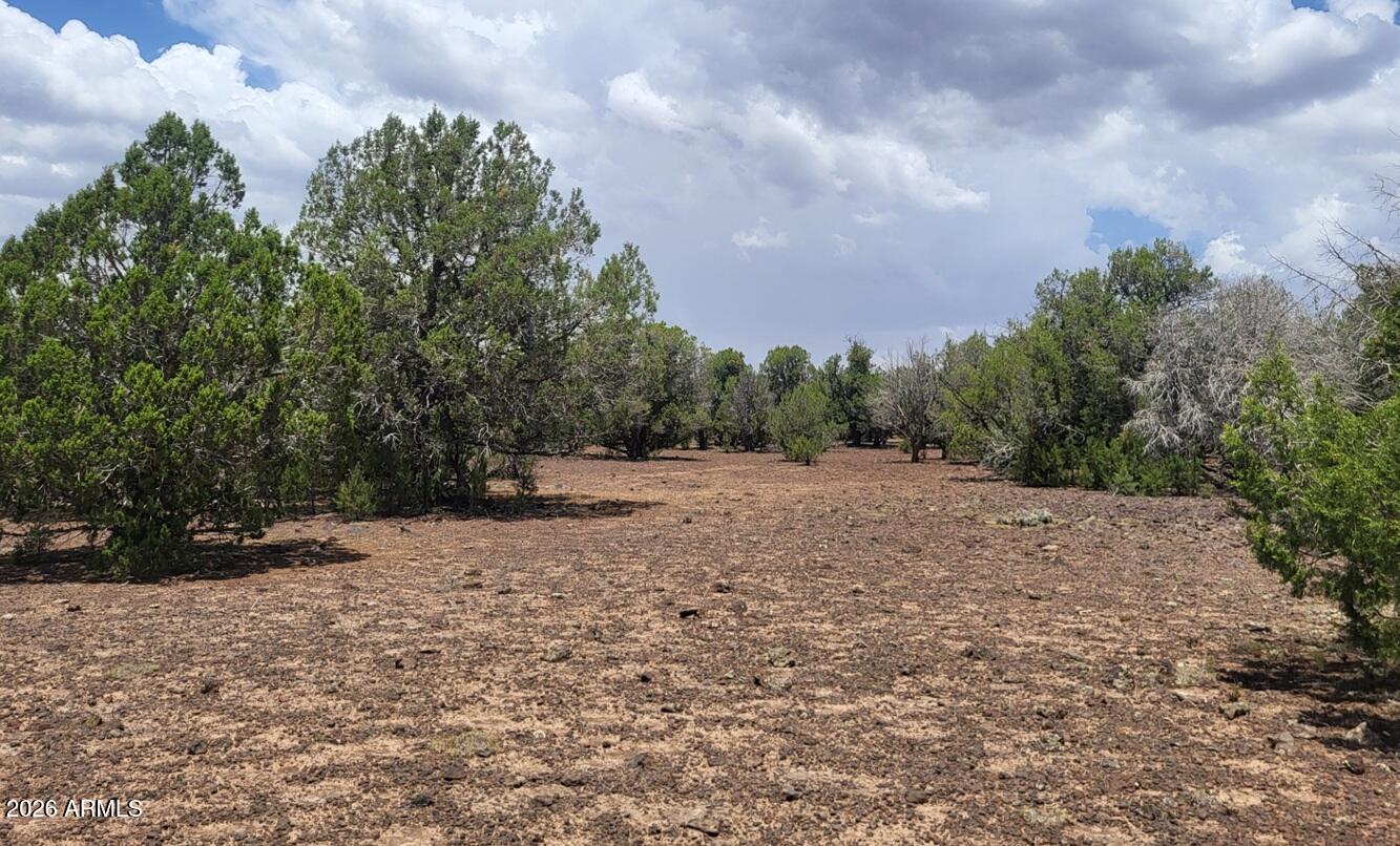 Westwood Ranches - Land