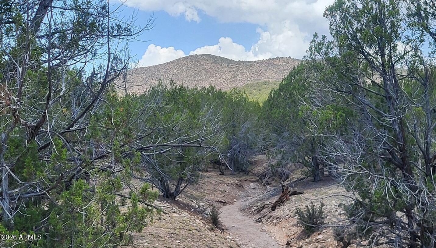 Westwood Ranches - Land