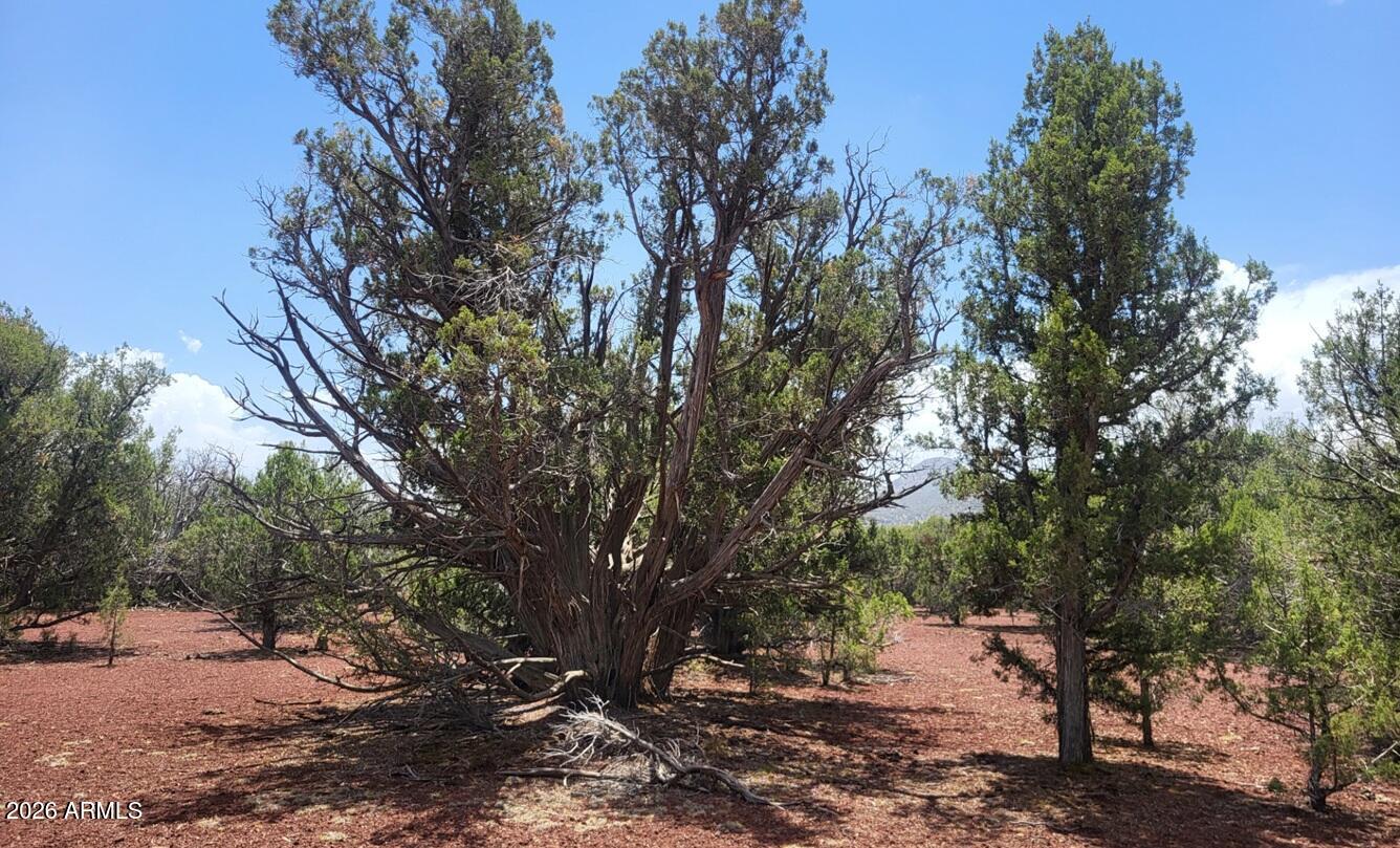 Westwood Ranches - Land