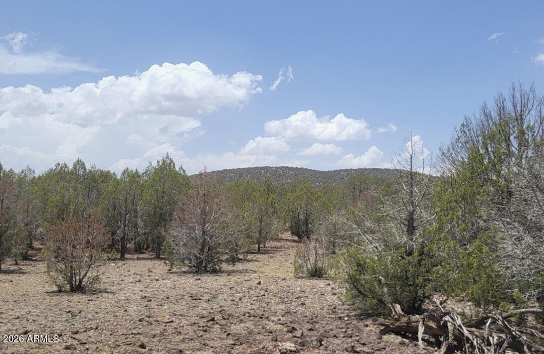 Westwood Ranches - Land