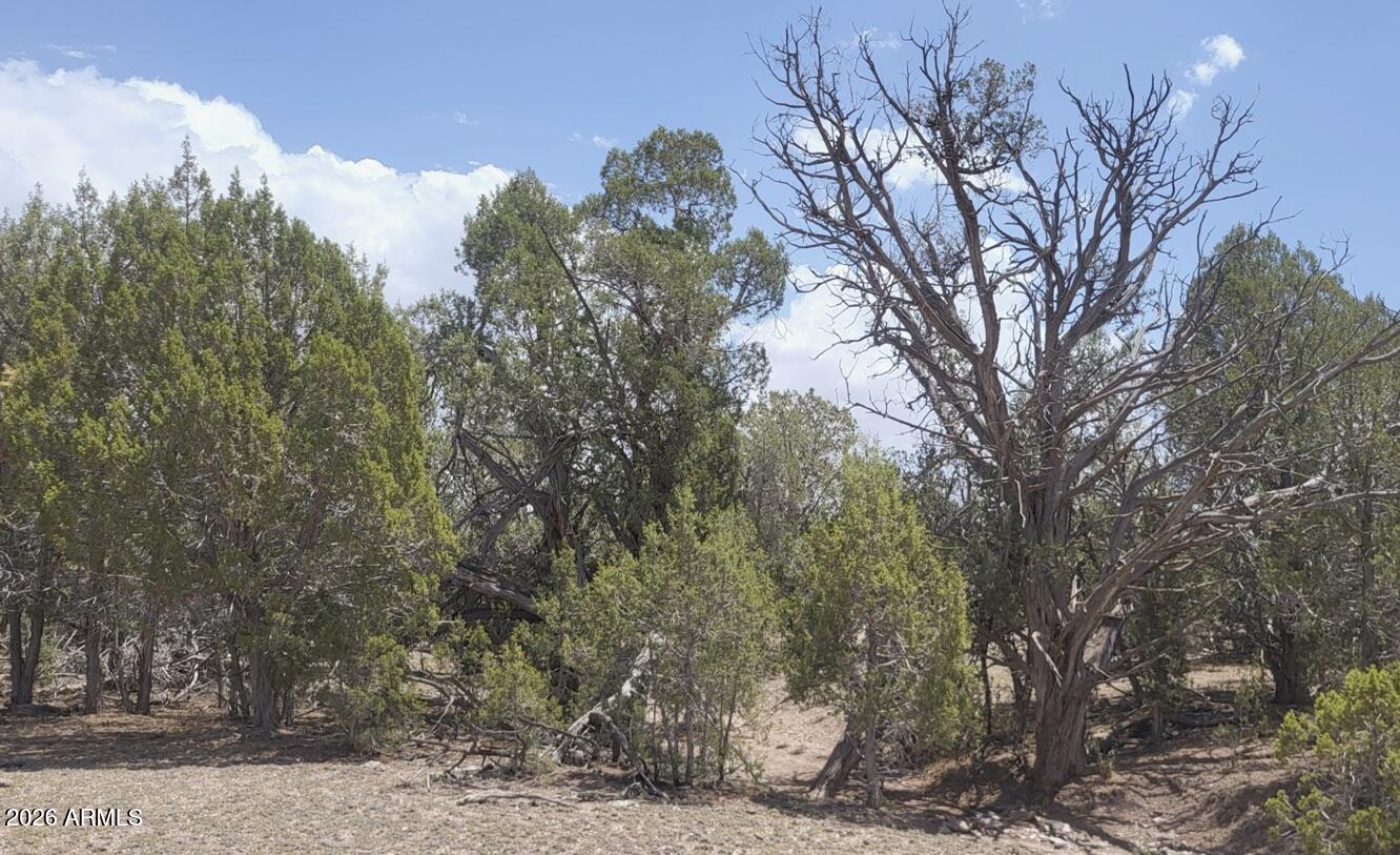Westwood Ranches - Land