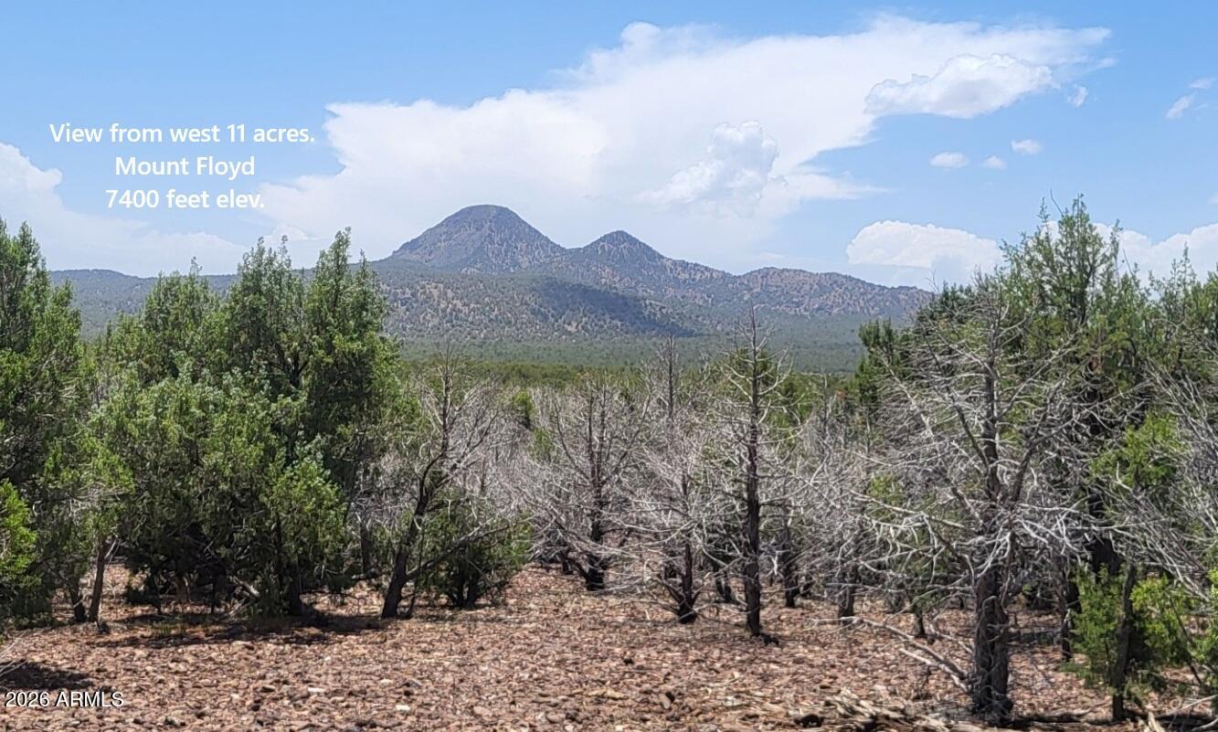 Westwood Ranches - Land