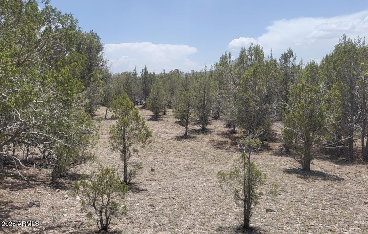 Westwood Ranches - Land