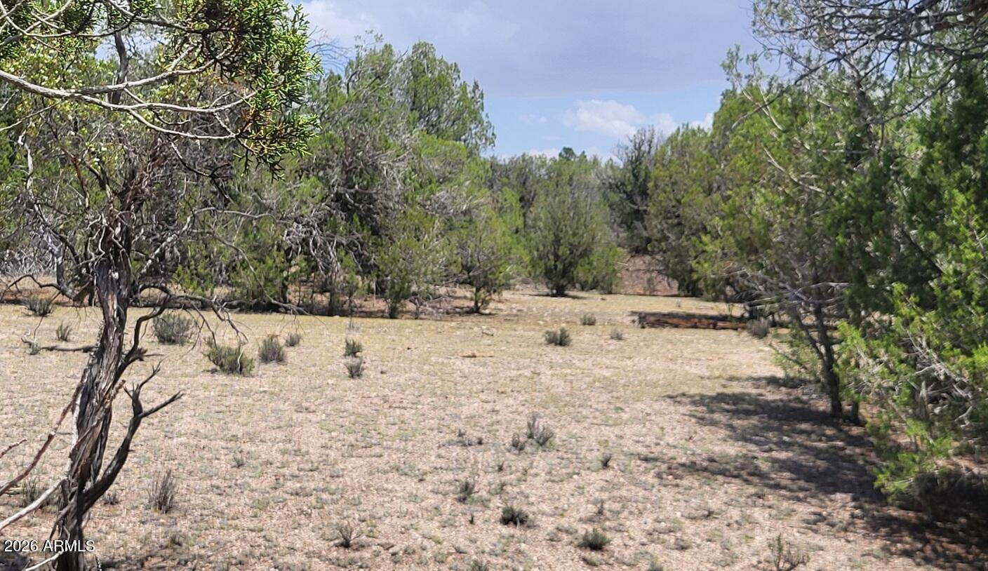 Westwood Ranches - Land