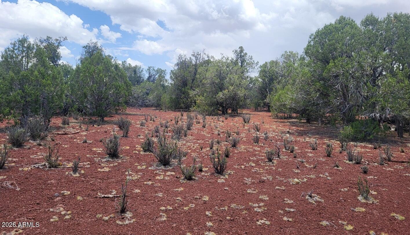 Westwood Ranches - Land