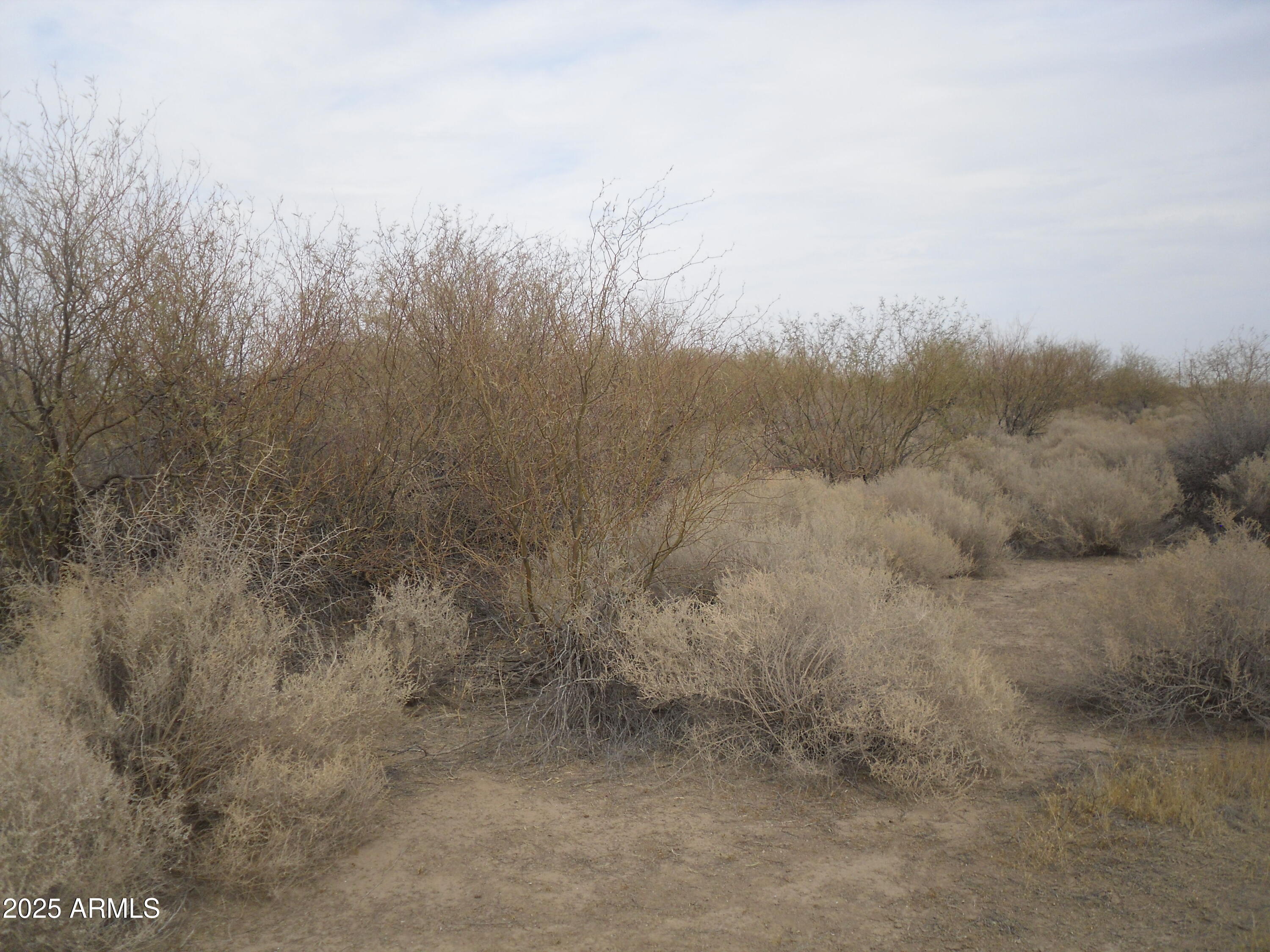 Large parcel with views ready to go.  The price is right!   Please use GIS mapping with parcel 303-27-024J.  This parcel is in Goodyear, Maricopa County but may have a Pinal County mailing/physical address.  There is an 8'APS easement, and 10'' APS easement on property.  The 10' is above the 8'.  If you see the Glider Park turn around you went to far.