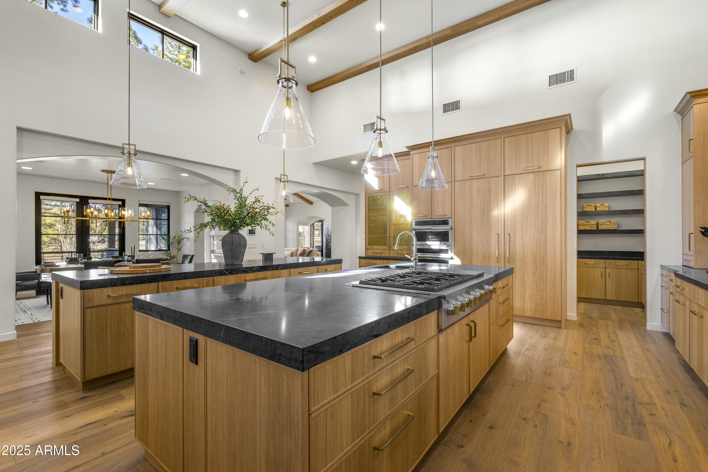 Coyote Springs - Residential