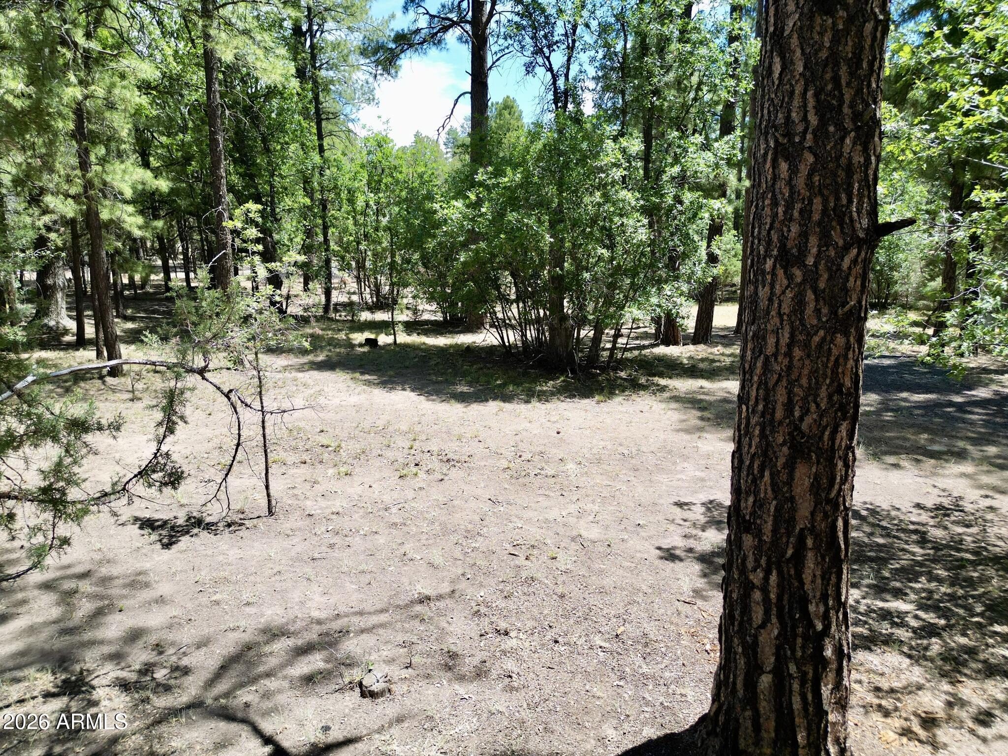 TIMBERLAND ACRES - Residential