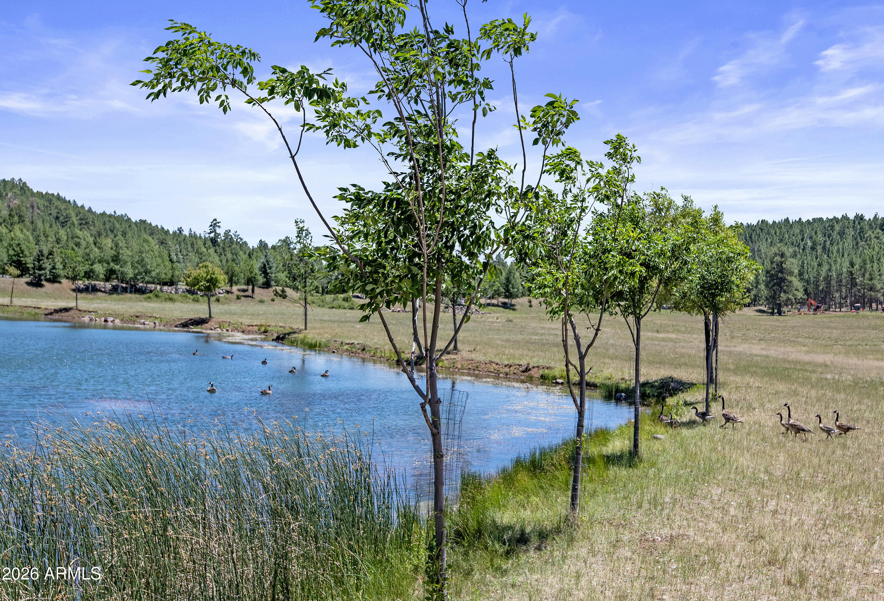 FOXBORO RANCH ESTATES - Land